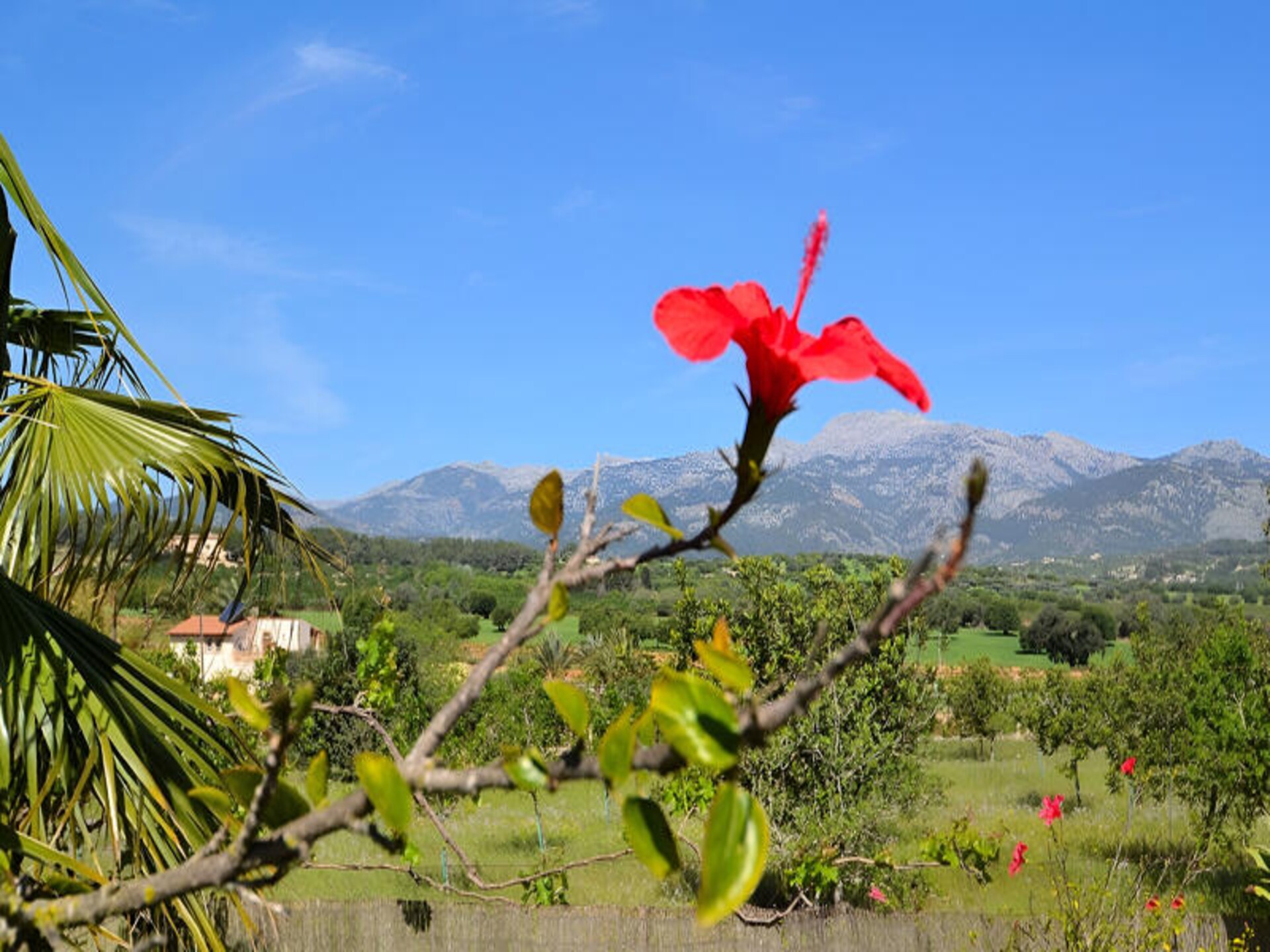 Ruim appartement bij Muro met uitzicht op de Tramuntana, 6 personen - foto 25