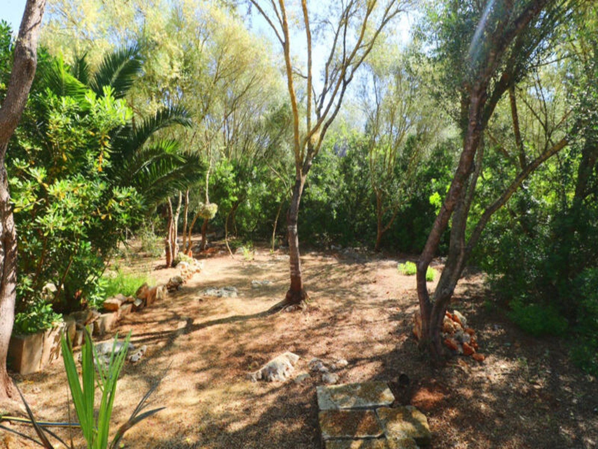 Authentieke boerderij bij Campos met privézwembad en tuin - foto 24