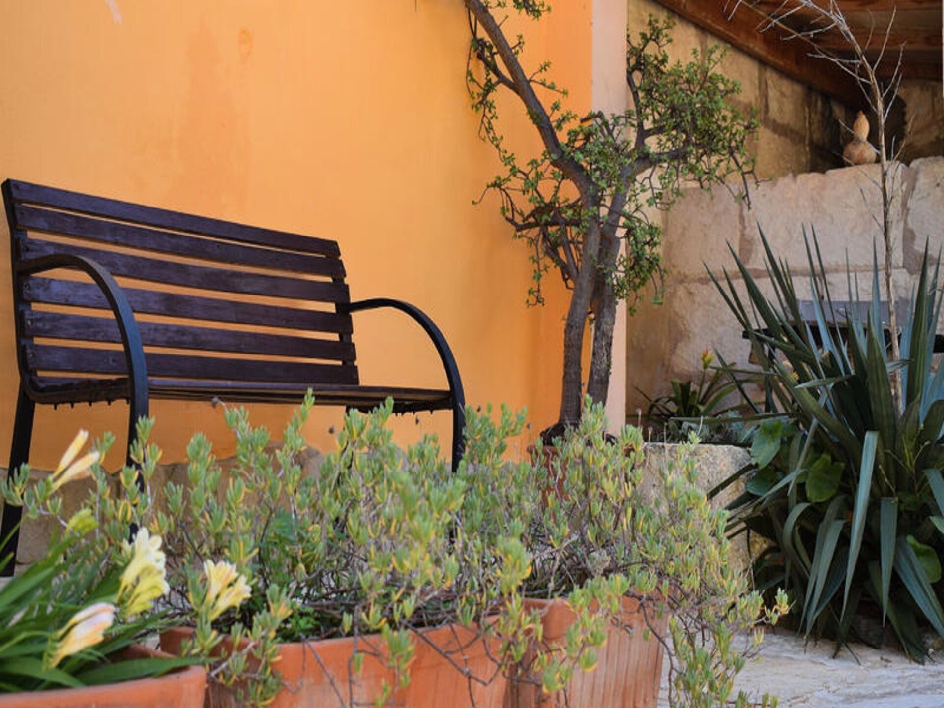 Maison à Muro - foto 24