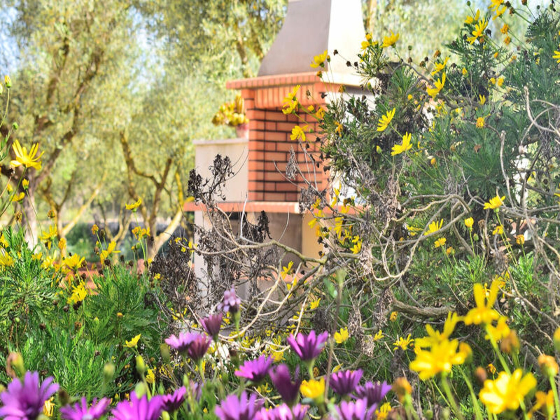 Ruim appartement op Mallorca met tuin, vlakbij Muro en stranden - foto 21