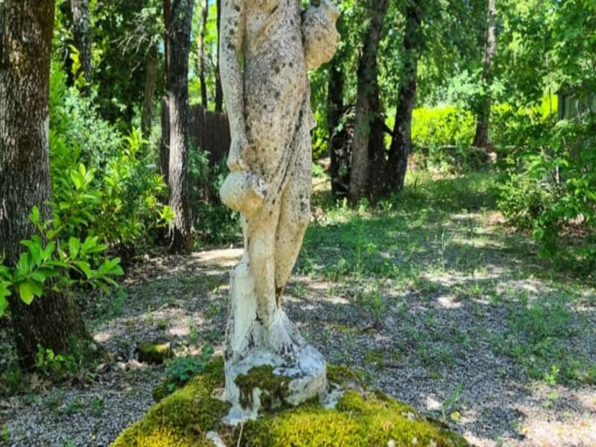 Villa Fayençoise: privézwembad, tuin en op 30 minuten van Cannes - foto 29