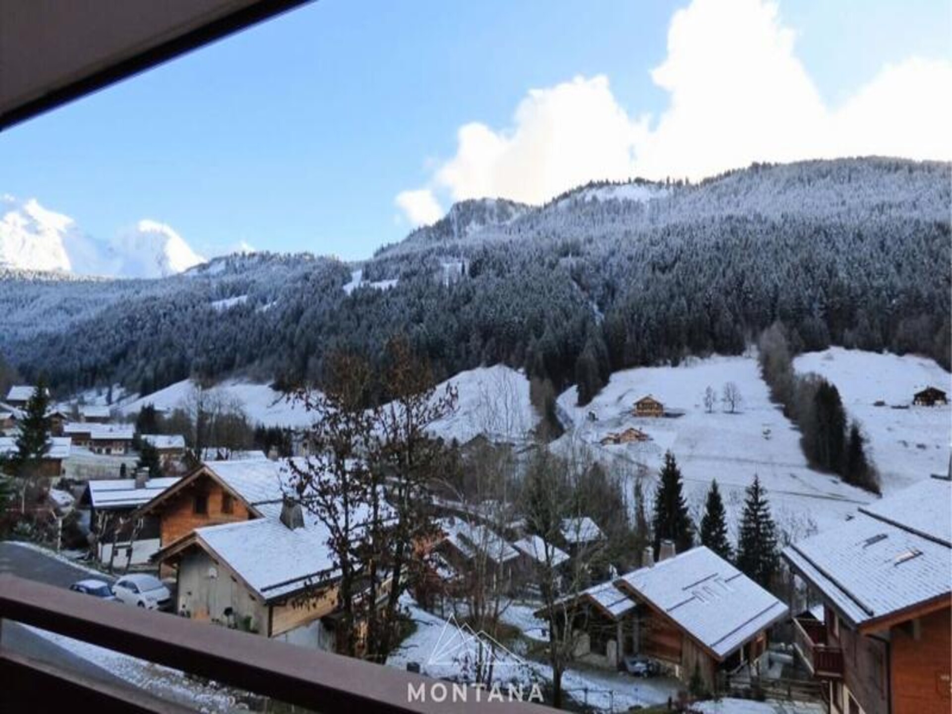 Appartement met adembenemend Aravis-uitzicht en balkon op het zuiden - foto 9