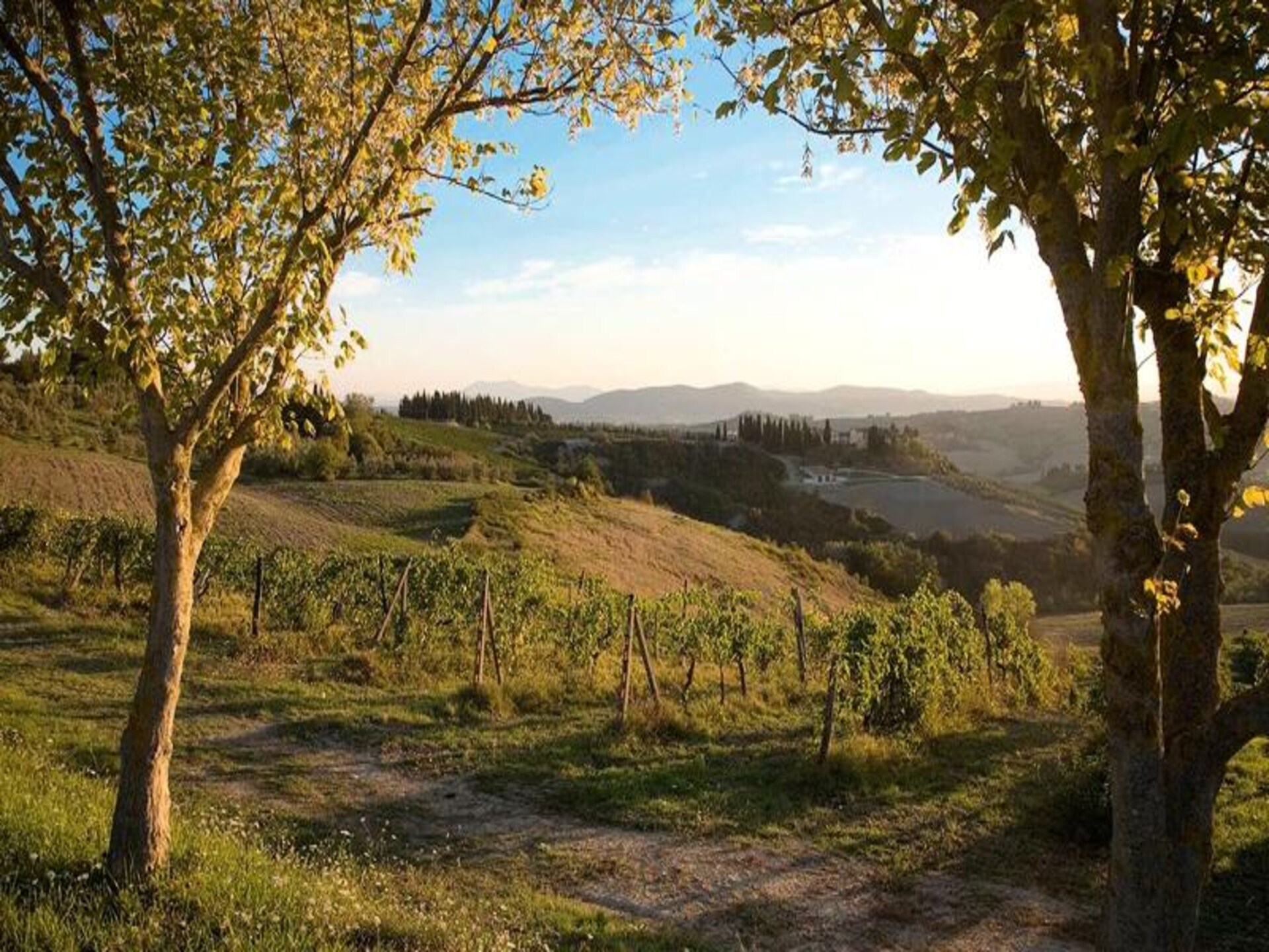 Toscaans appartement in Borgo Filicardo, Montespertoli - foto 12