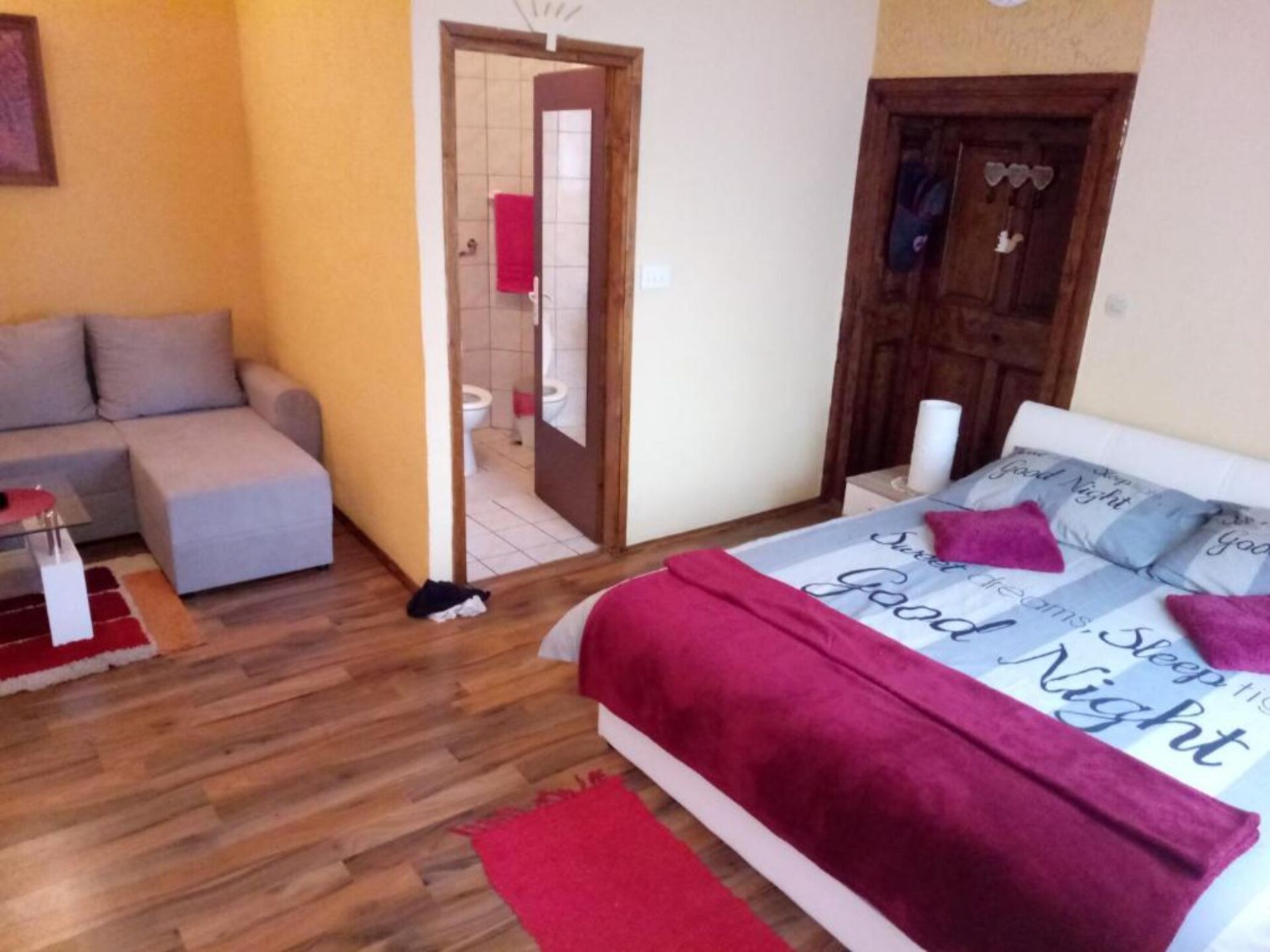 Classic Double Room met terras aan de rivier in Osijek - foto 15