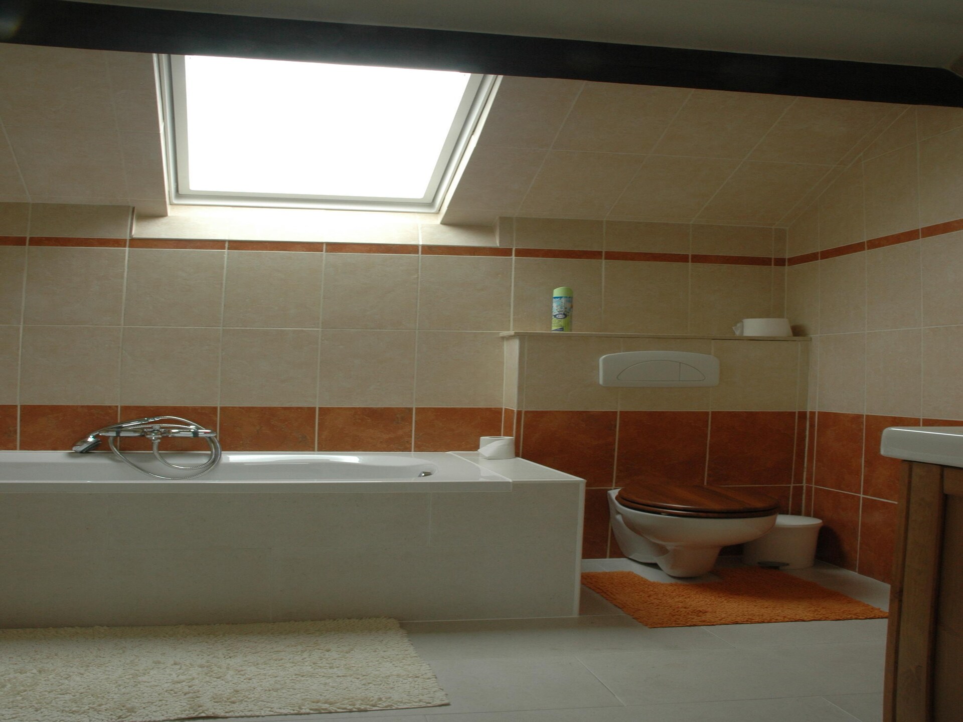 Ruim vakantiehuis met privésauna en tuin voor 12 personen in Somme-Leuze - foto 22