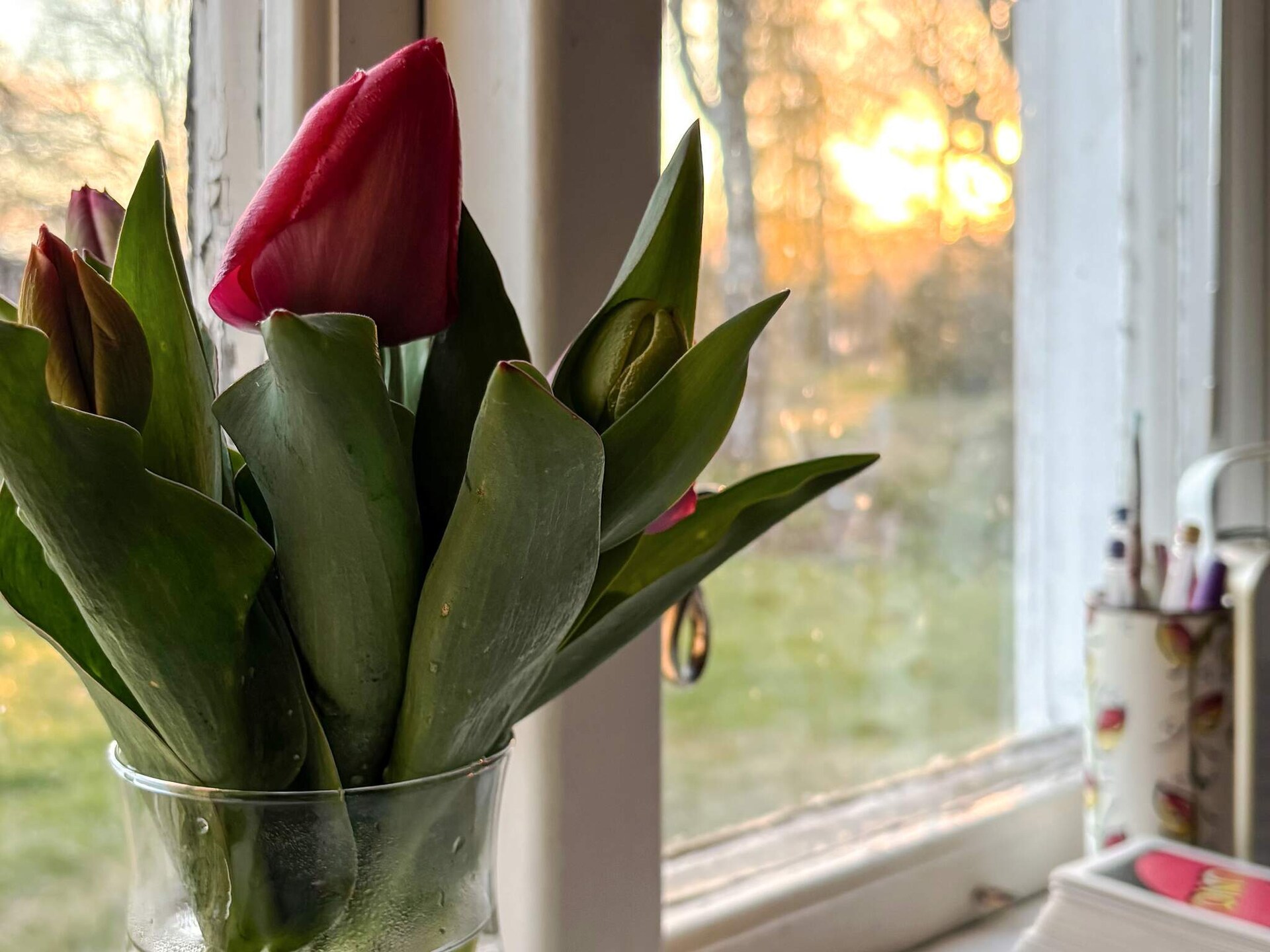 Charmant vakantiehuis bij meer in Småland met grote tuin - foto 38