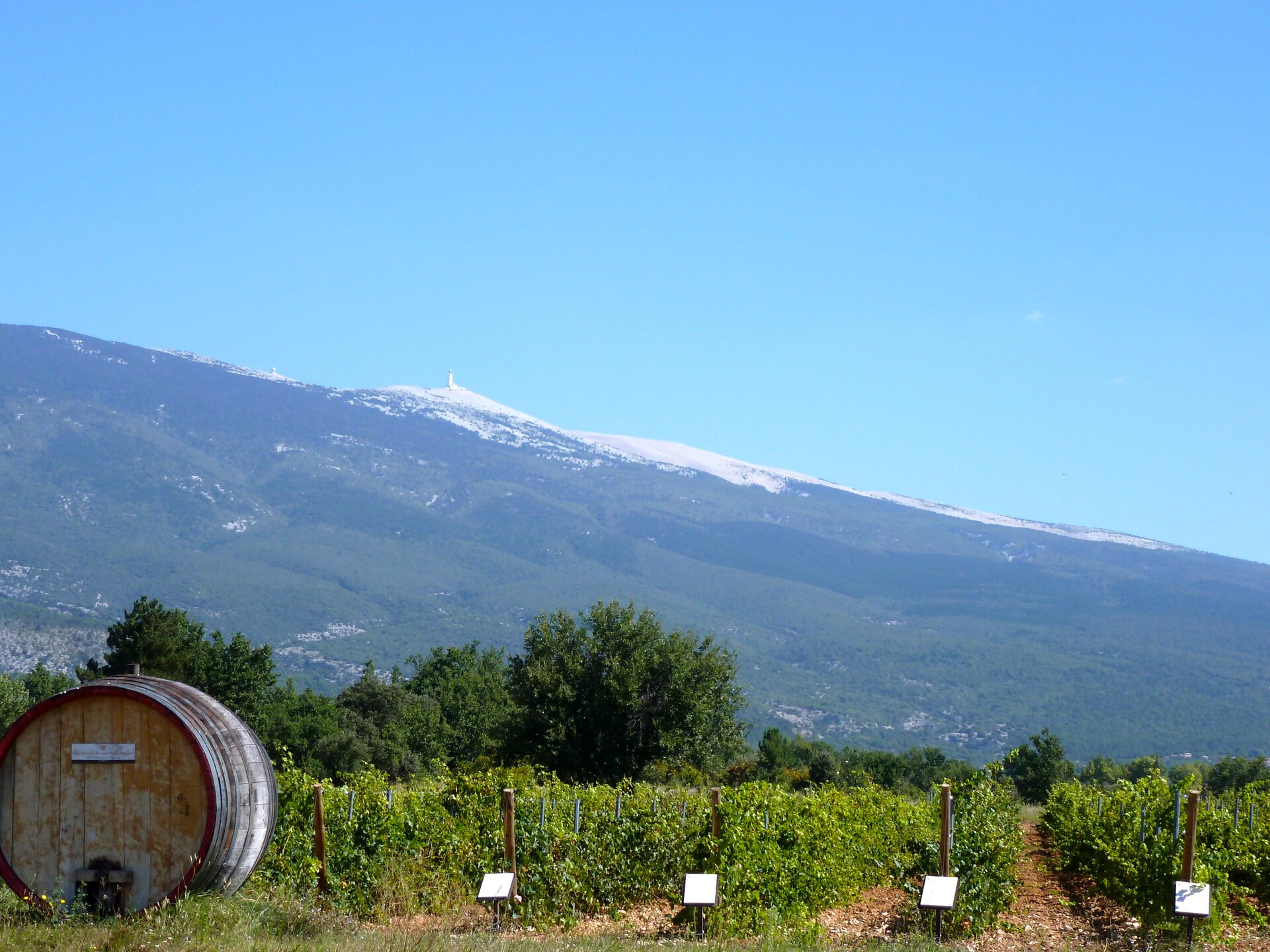 Provençaals vakantiehuis aan de voet van de Mont Ventoux met uitzicht op wijngaarden - foto 20