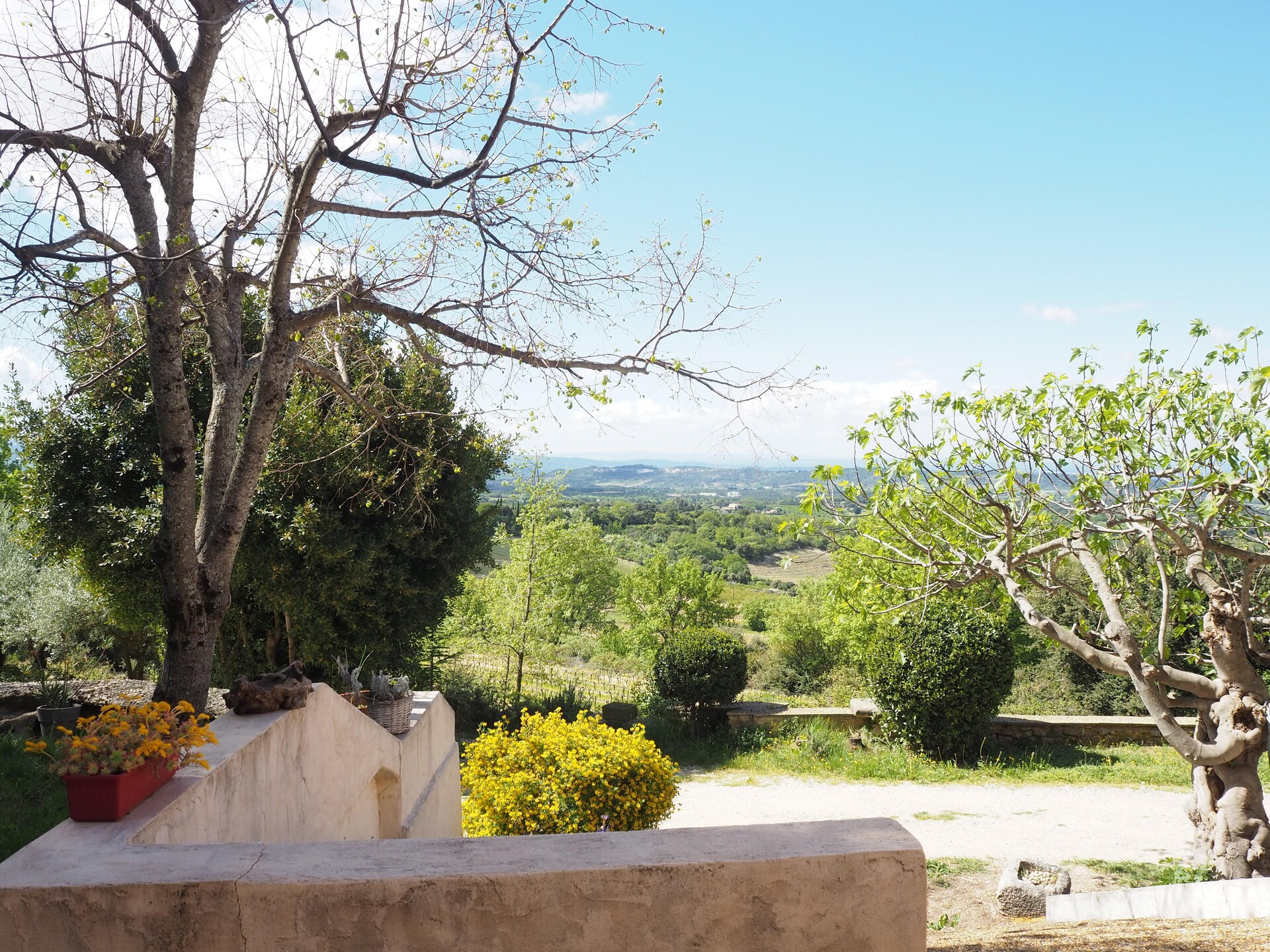 Provençaals vakantiehuis aan de voet van de Mont Ventoux met uitzicht op wijngaarden - foto 15