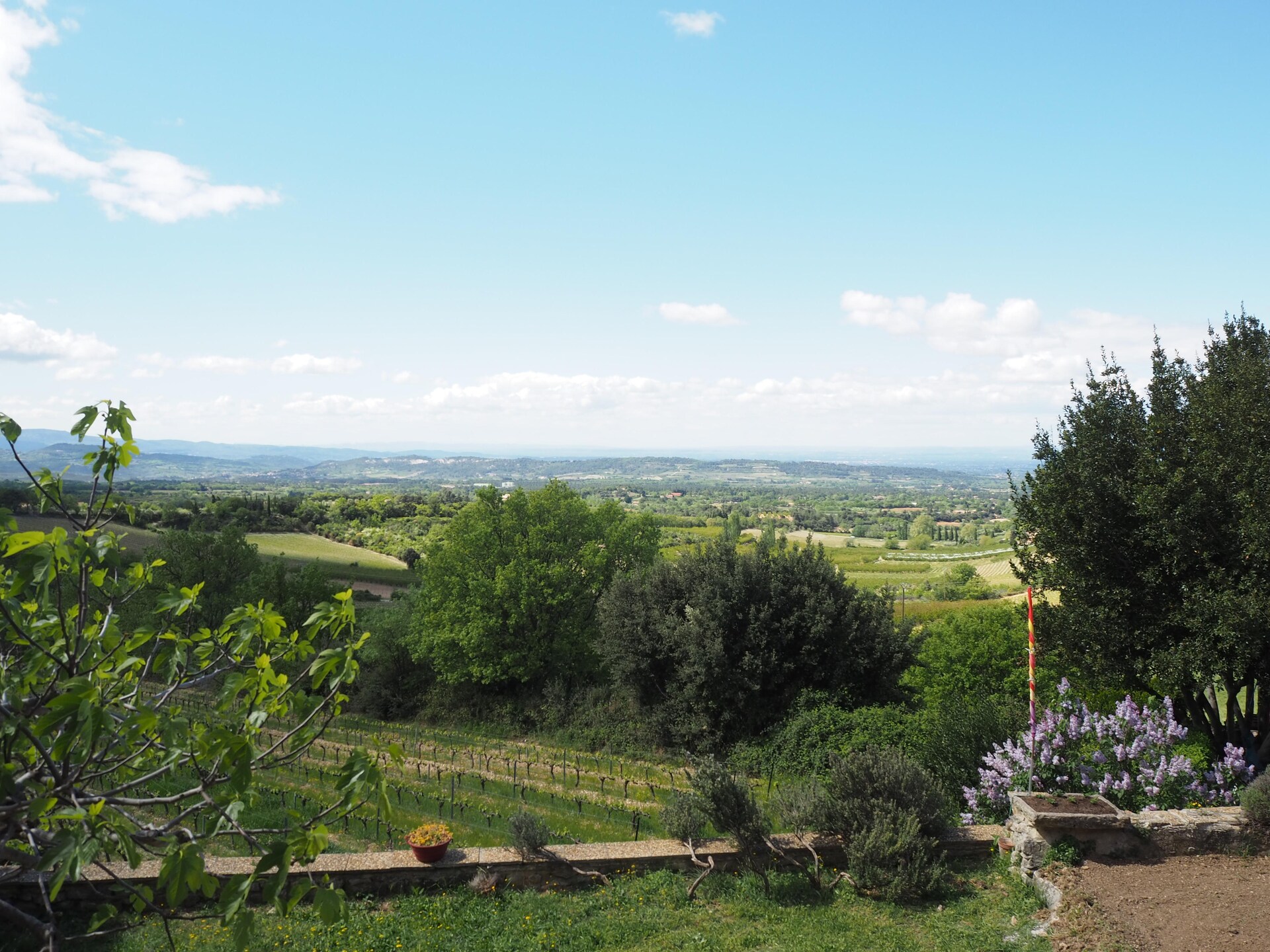 Provençaals vakantiehuis aan de voet van de Mont Ventoux met uitzicht op wijngaarden - foto 16