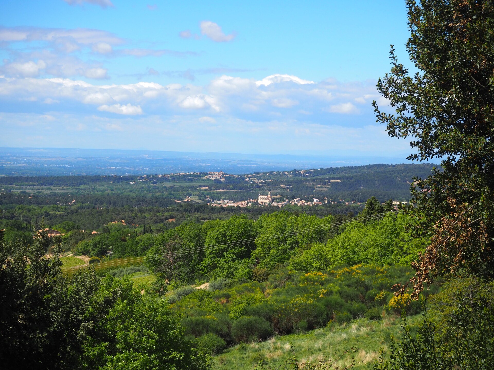 Provençaals vakantiehuis aan de voet van de Mont Ventoux met uitzicht op wijngaarden - foto 18