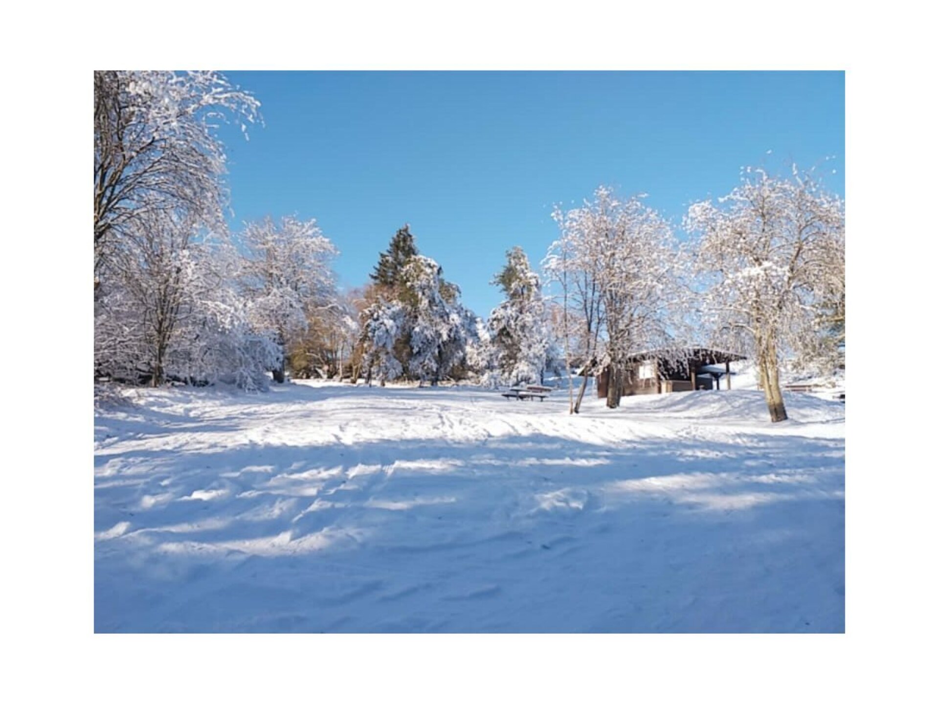 Ruim vakantiehuis Birke in Willingen-Usseln, 500m van de skilift - foto 18