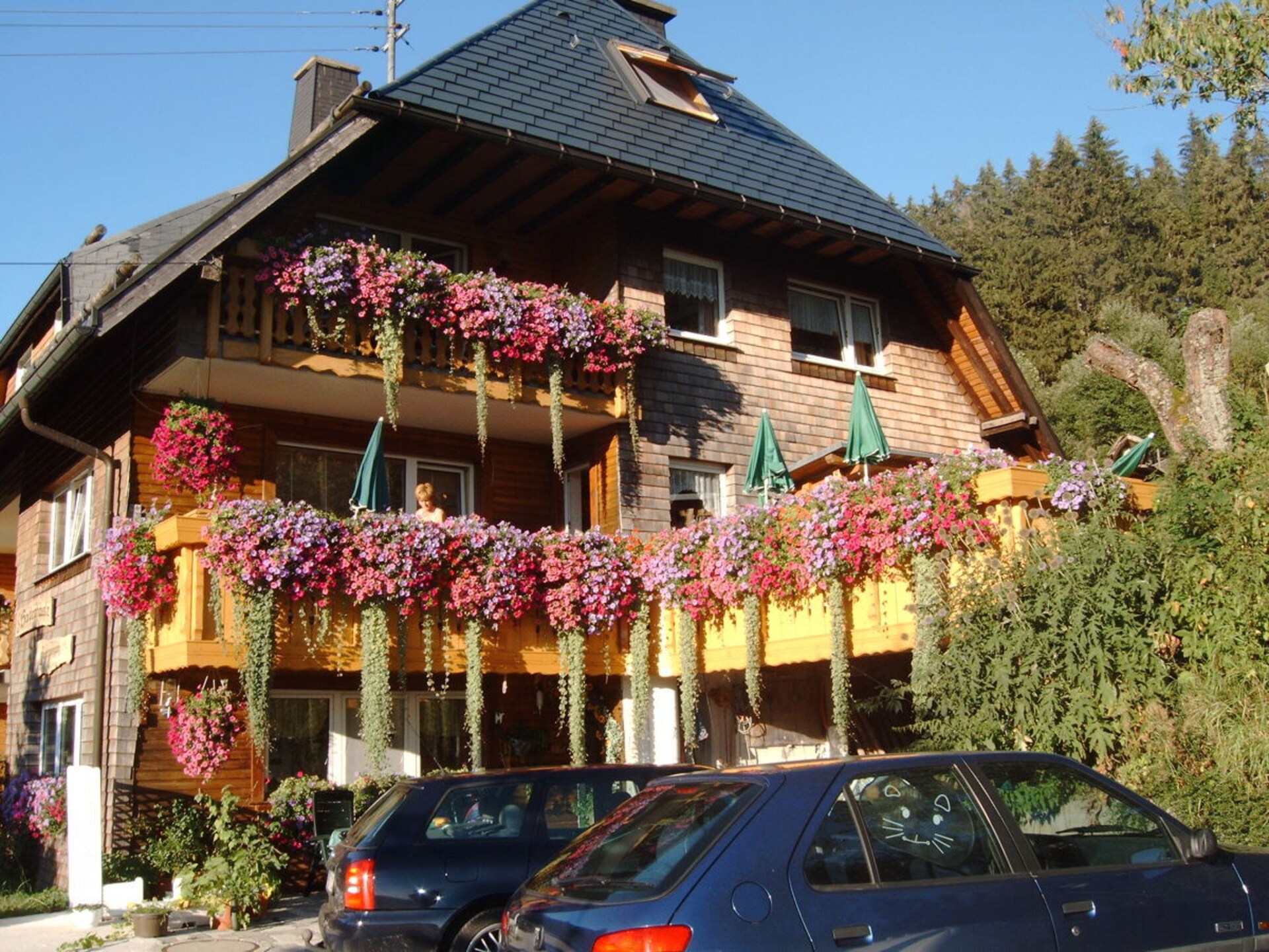 Knus vakantiehuis Haldenhäusle in het Zwarte Woud bij Titisee - foto 7