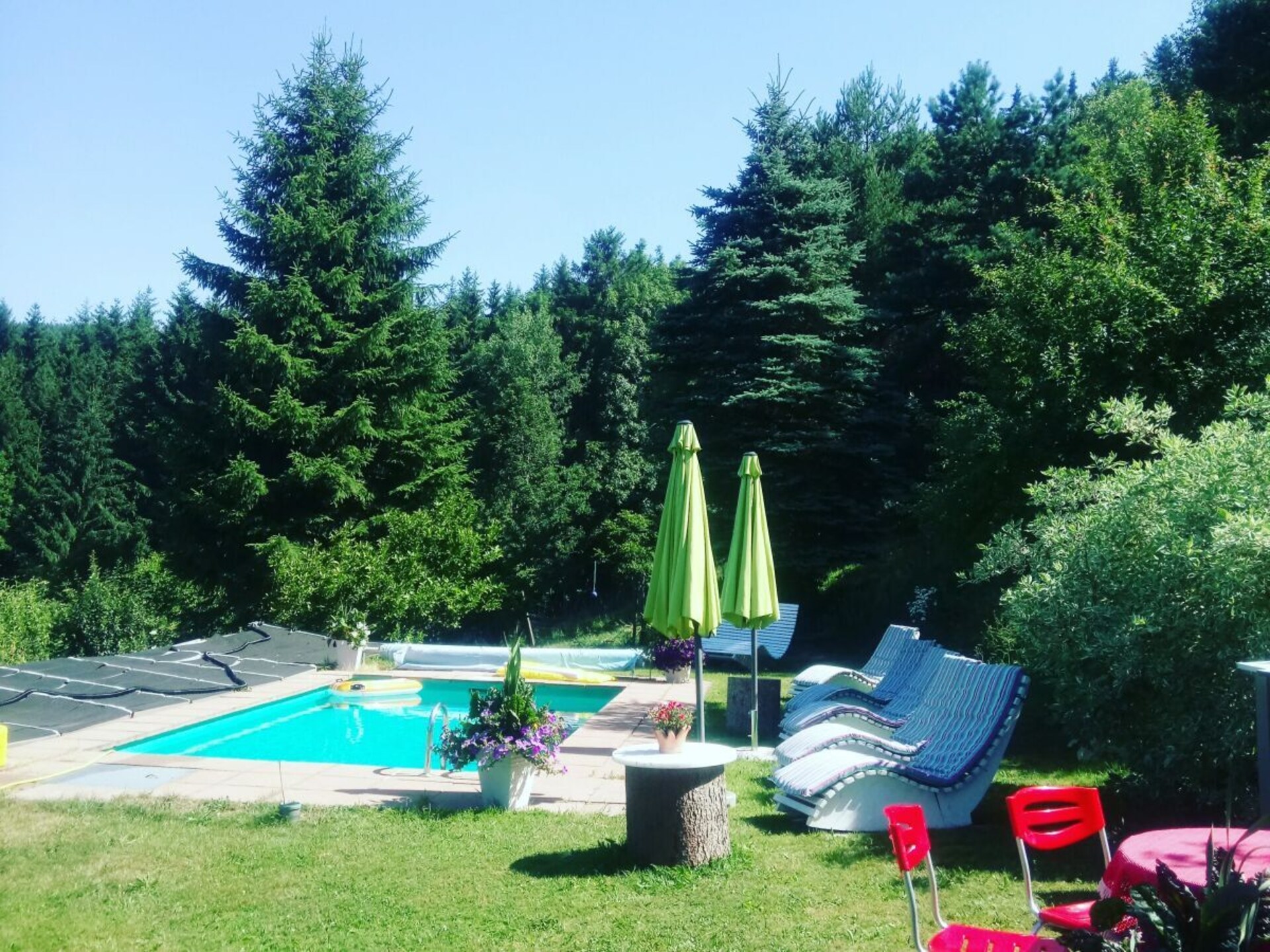 Knus vakantiehuis Haldenhäusle in het Zwarte Woud bij Titisee - foto 12