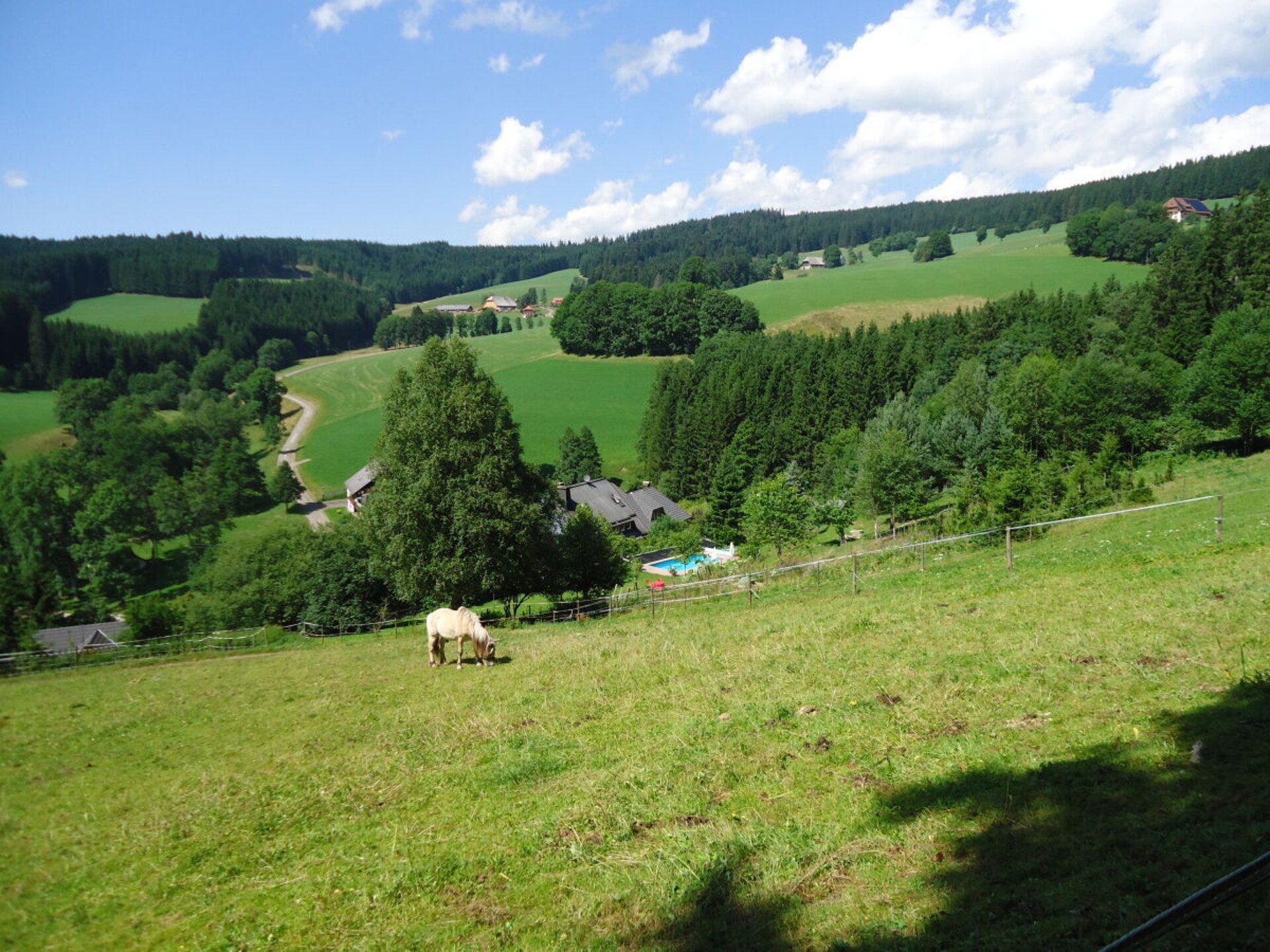 Knus vakantiehuis Haldenhäusle in het Zwarte Woud bij Titisee - foto 16