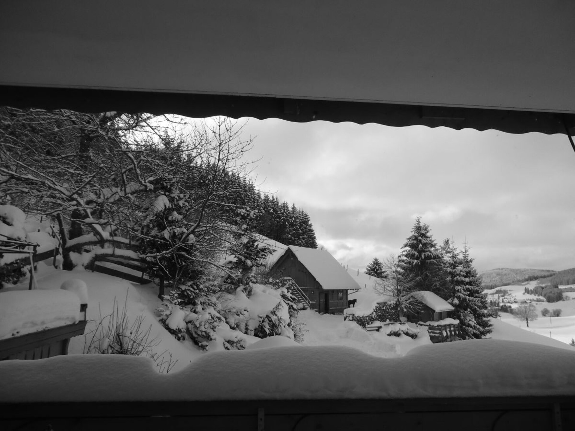 Knus vakantiehuis Haldenhäusle in het Zwarte Woud bij Titisee - foto 17