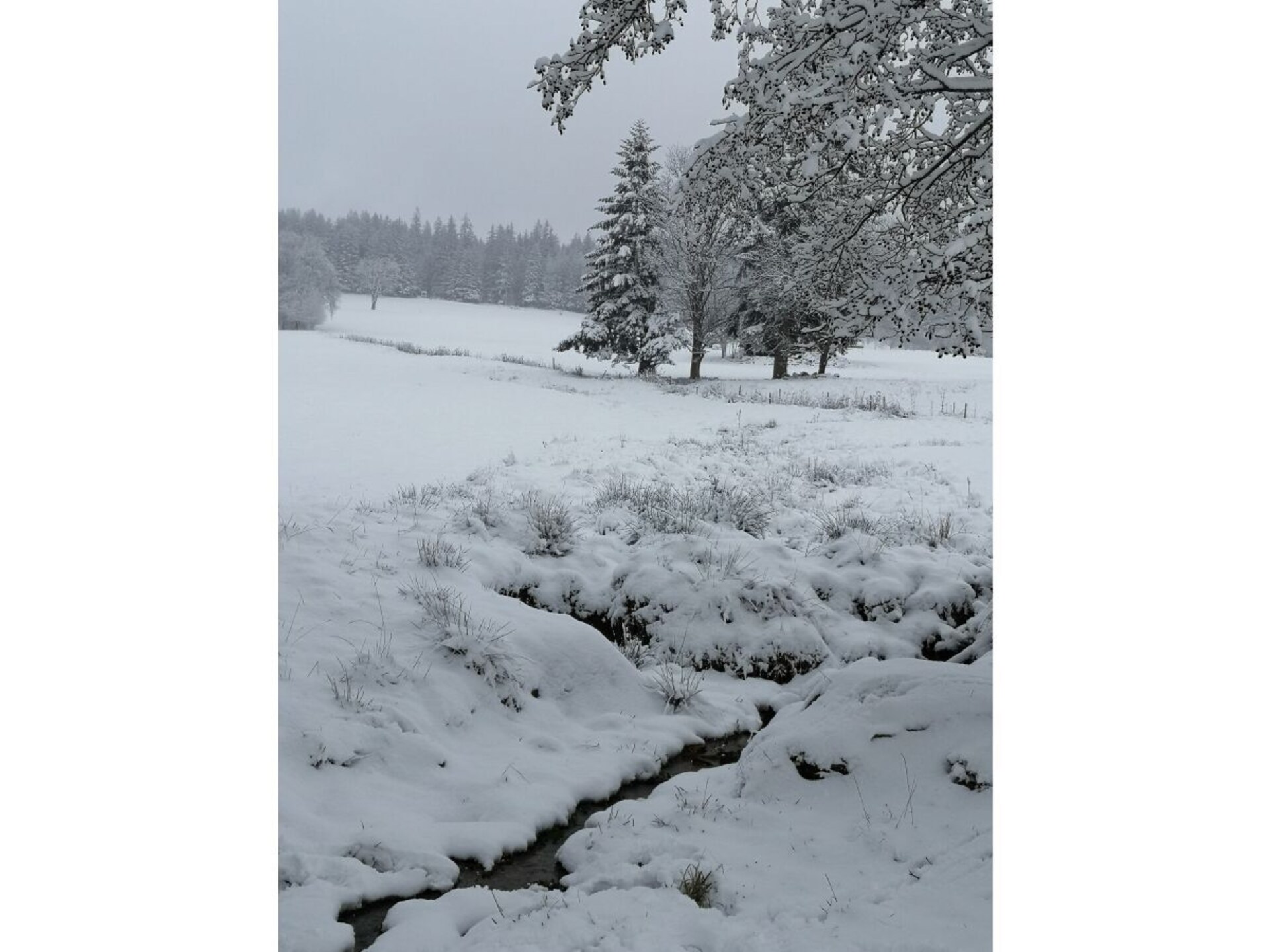 Knus vakantiehuis Haldenhäusle in het Zwarte Woud bij Titisee - foto 18