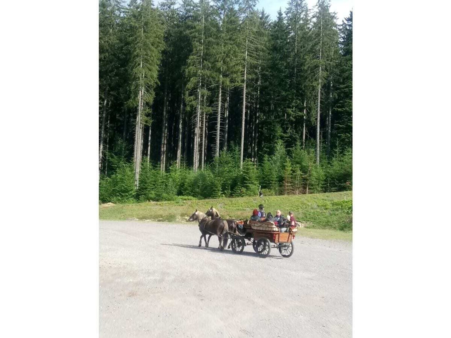 Knus vakantiehuis Haldenhäusle in het Zwarte Woud bij Titisee - foto 38
