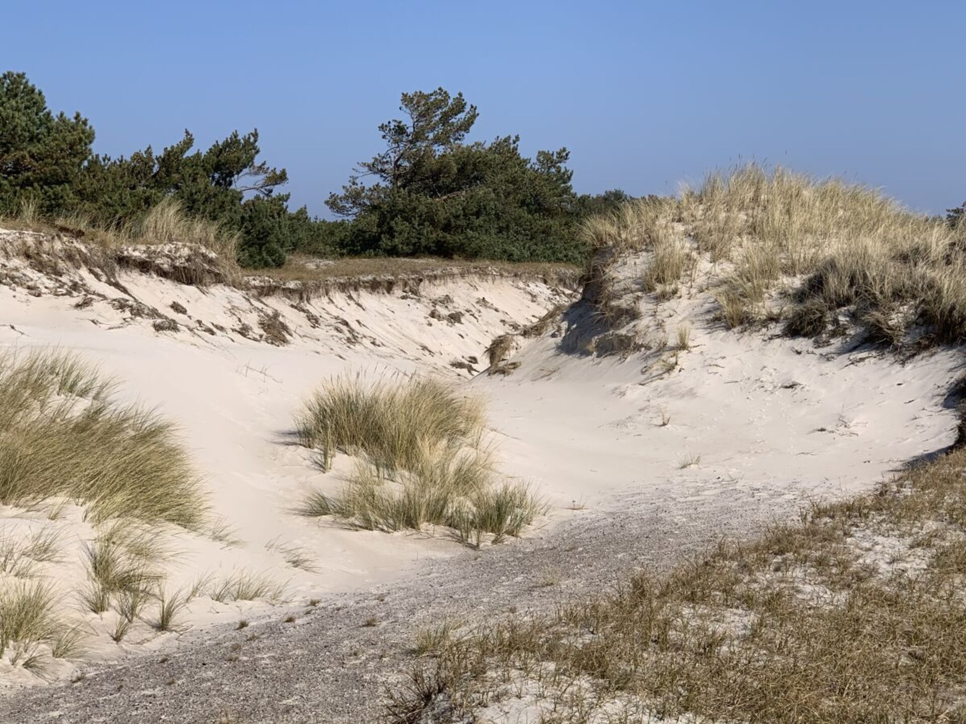 Modern vakantiehuis aan de Boddenlagune in Ostseeheilbad Zingst - foto 14