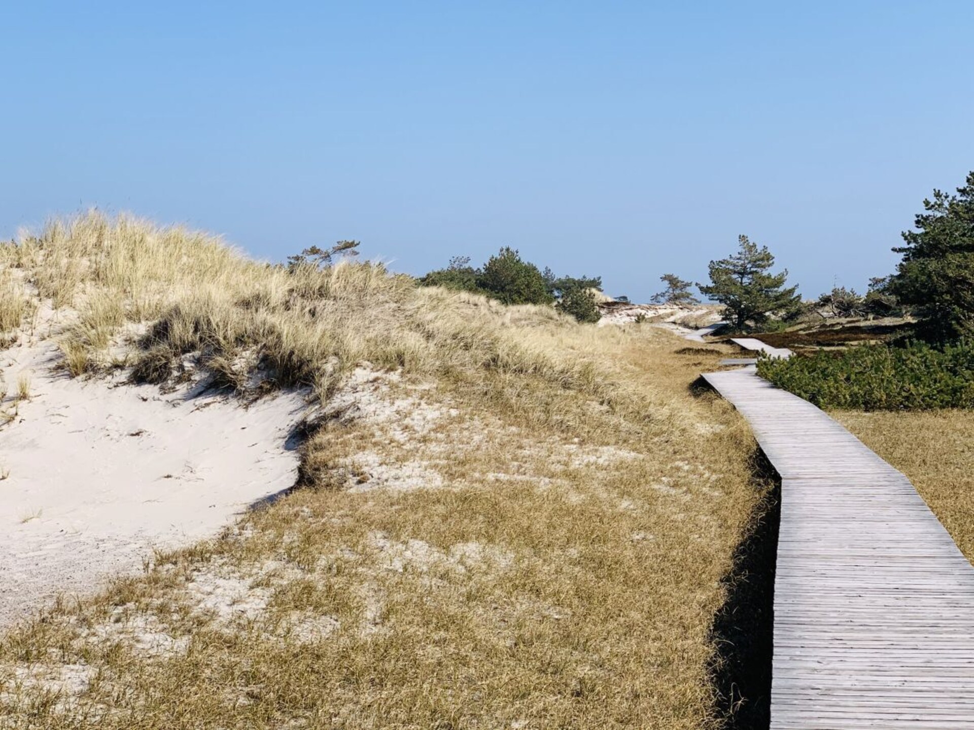 Modern vakantiehuis aan de Boddenlagune in Ostseeheilbad Zingst - foto 16