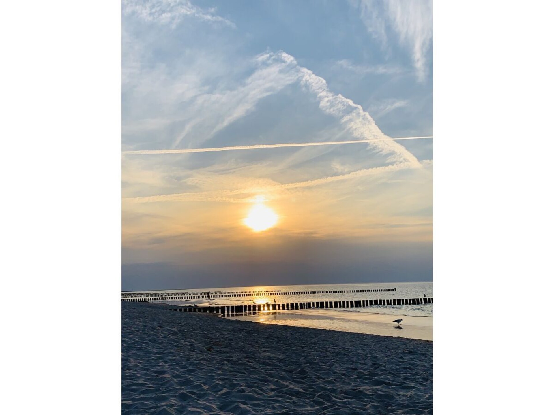Modern vakantiehuis aan de Boddenlagune in Ostseeheilbad Zingst - foto 17