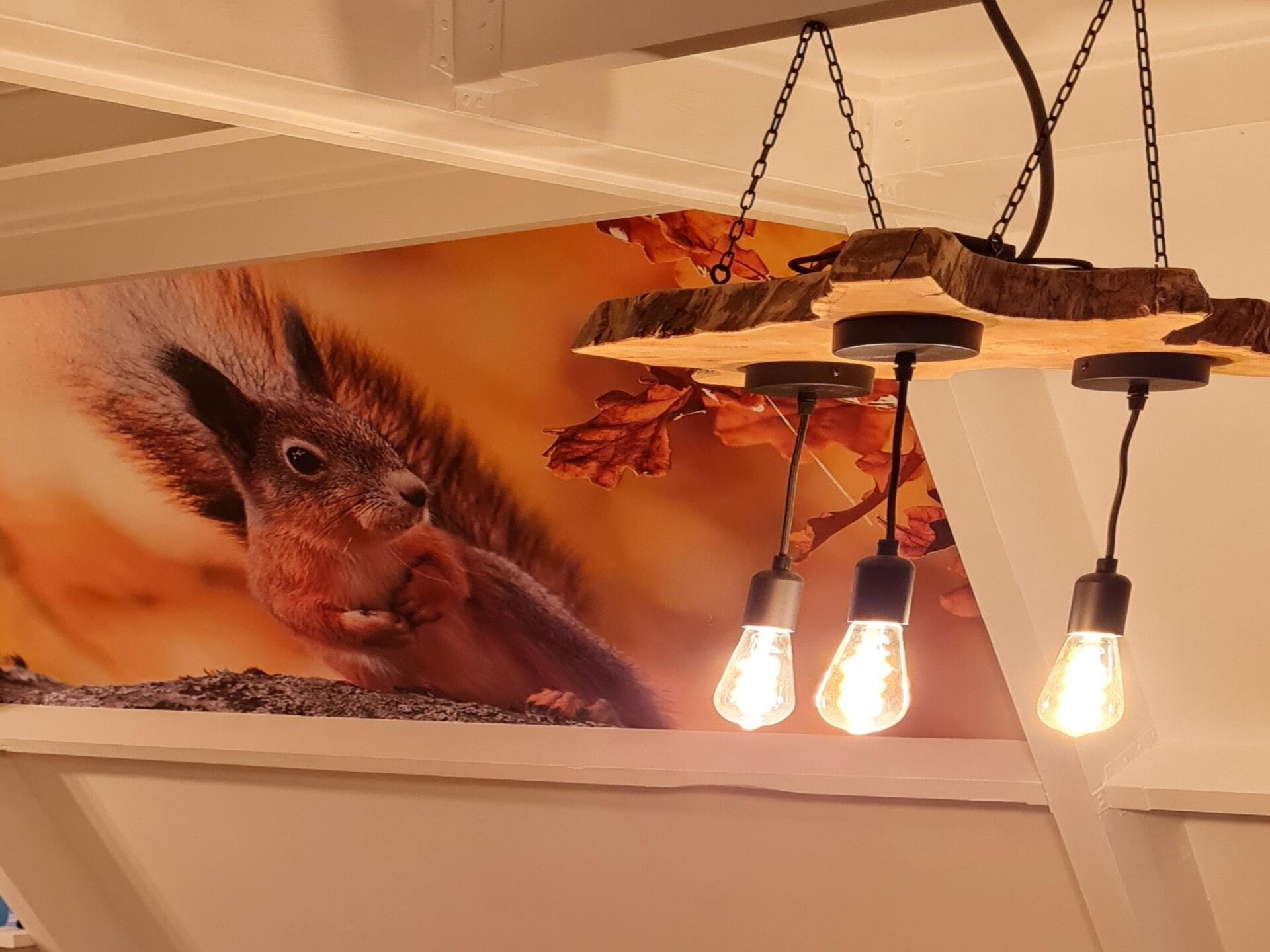 Gerenoveerd chalet voor 5 personen aan de golfbaan in het bos bij Durbuy - foto 6