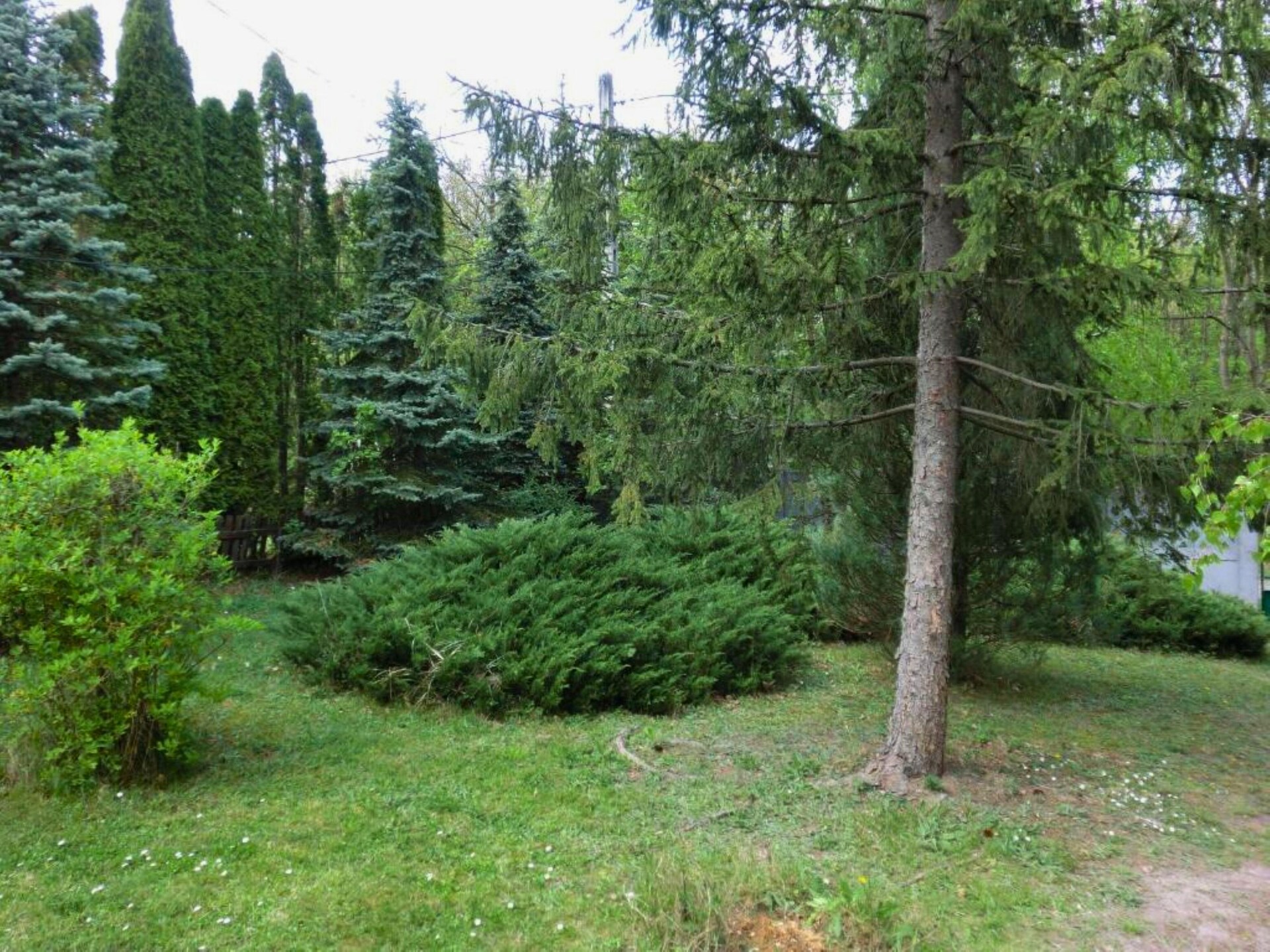 Vrijstaand vakantiehuis met tuin aan de Donauknie in Leányfalu - foto 25