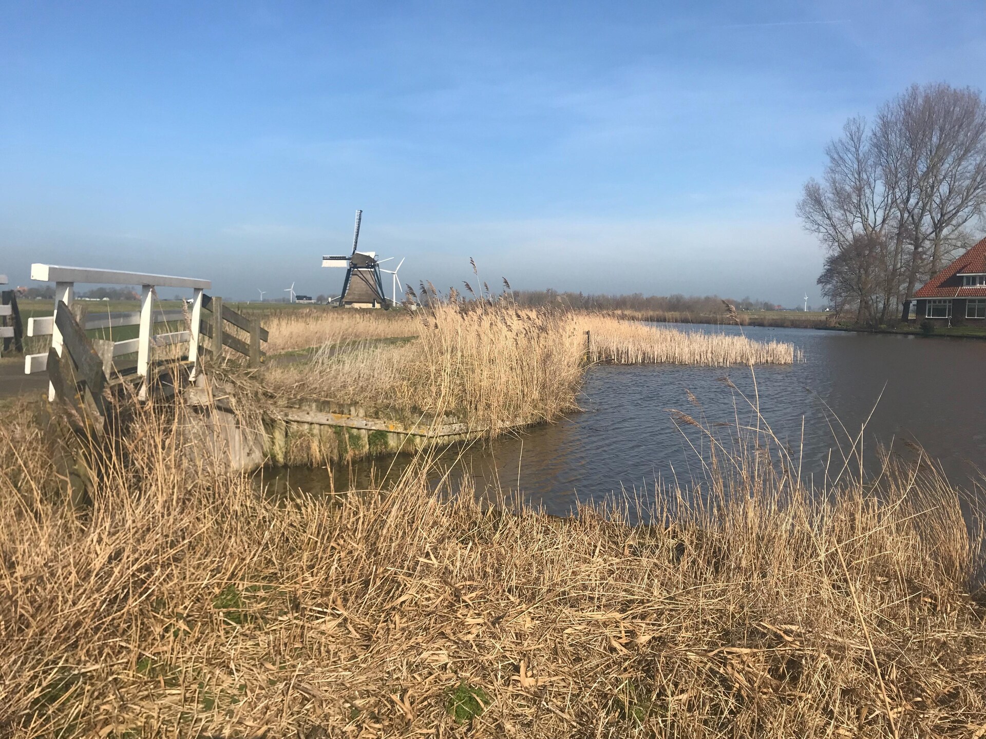 De Waske – Vakantiehuis aan het water in natuurrijk Warns, Friesland - foto 36