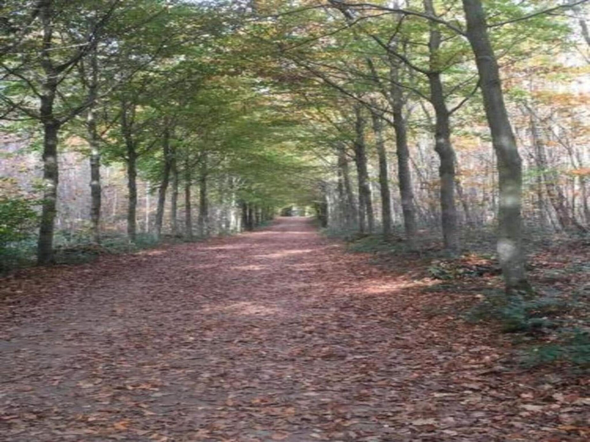 Landelijke villa met privézwembad in bosrijke omgeving, vlakbij golfbaan - foto 37