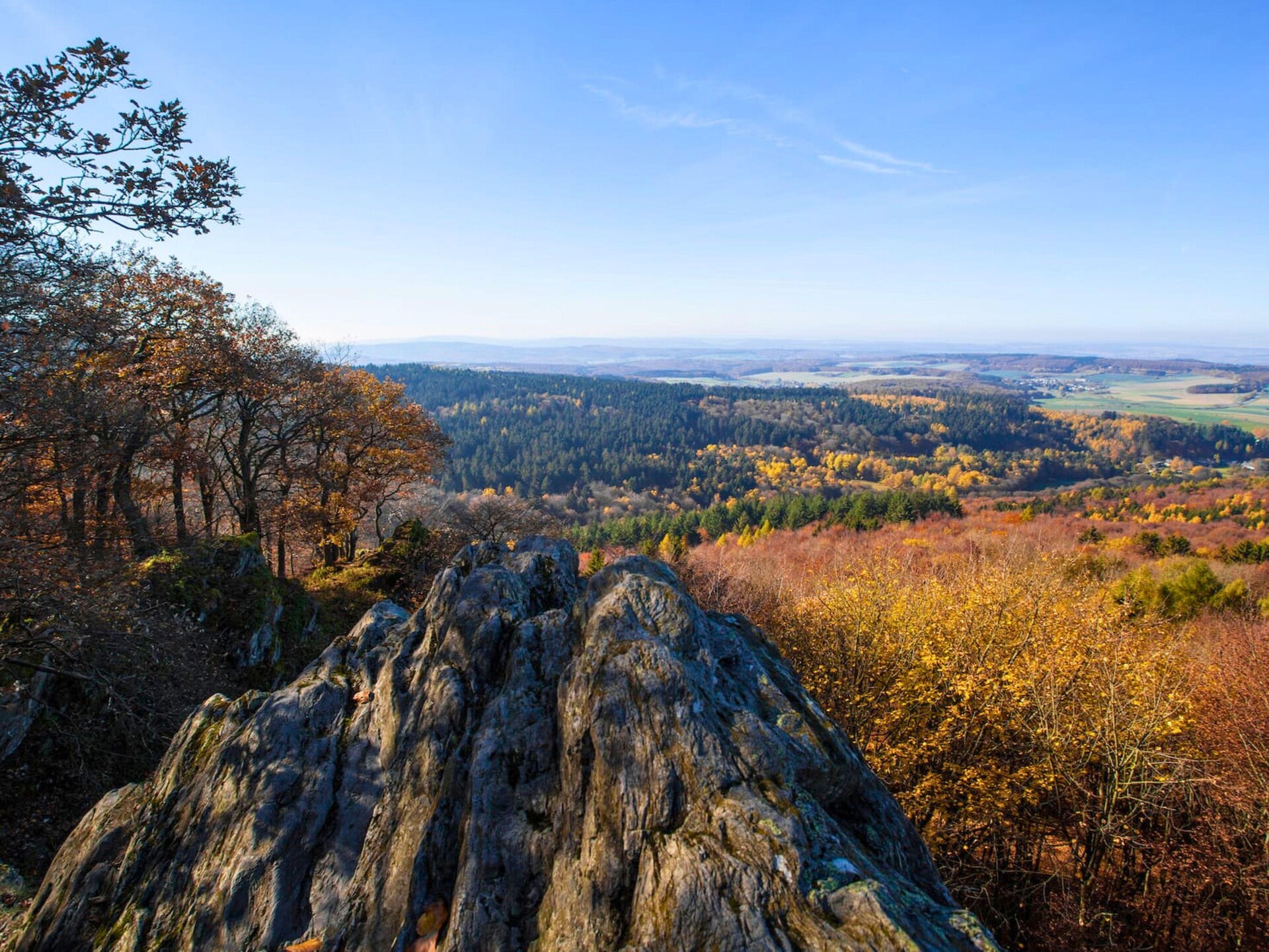 Knus appartement voor 3 in Bad Camberg – bos, golf & natuur op 500m van centrum - foto 27