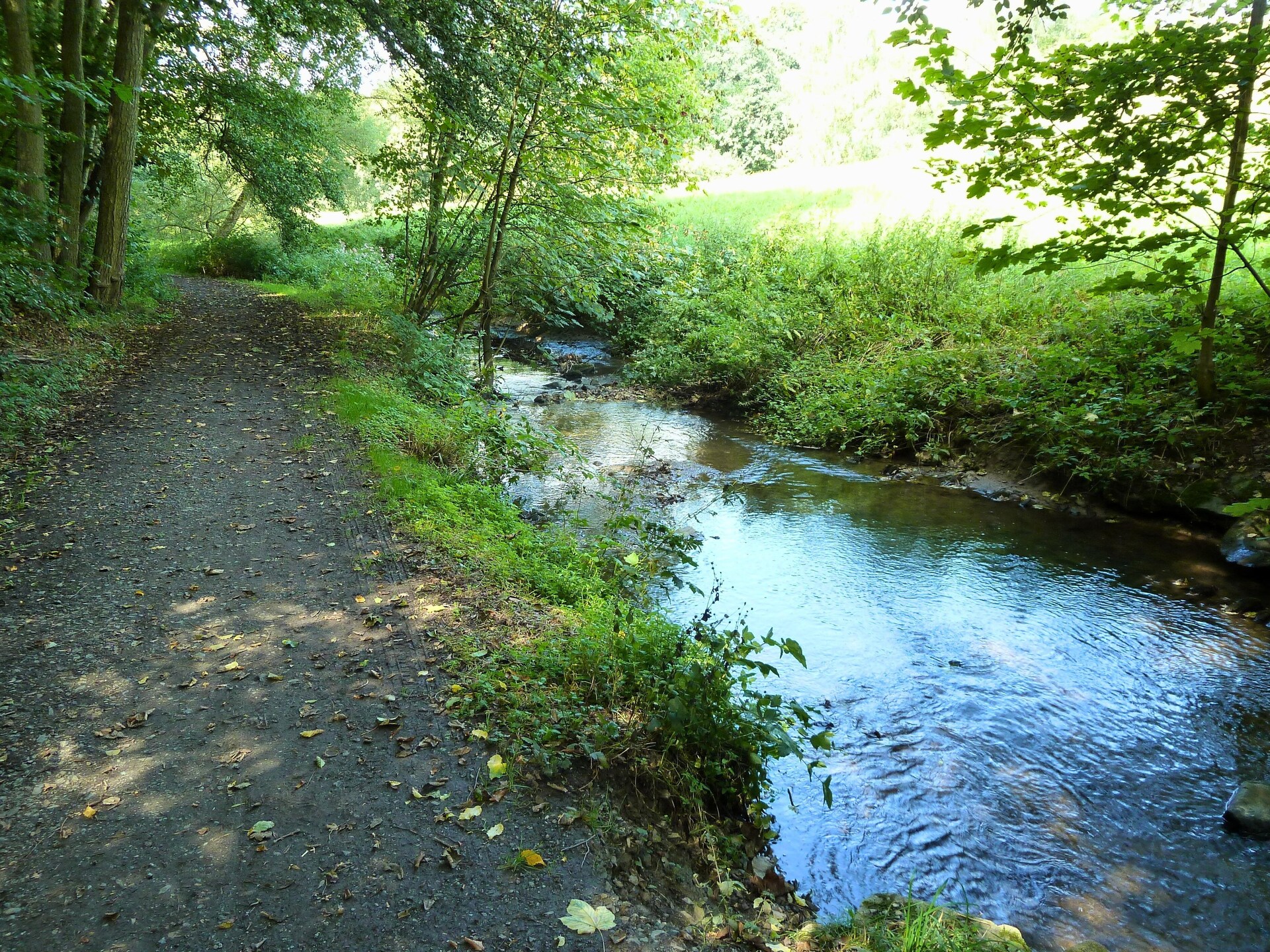 Knus appartement voor 3 in Bad Camberg – bos, golf & natuur op 500m van centrum - foto 24