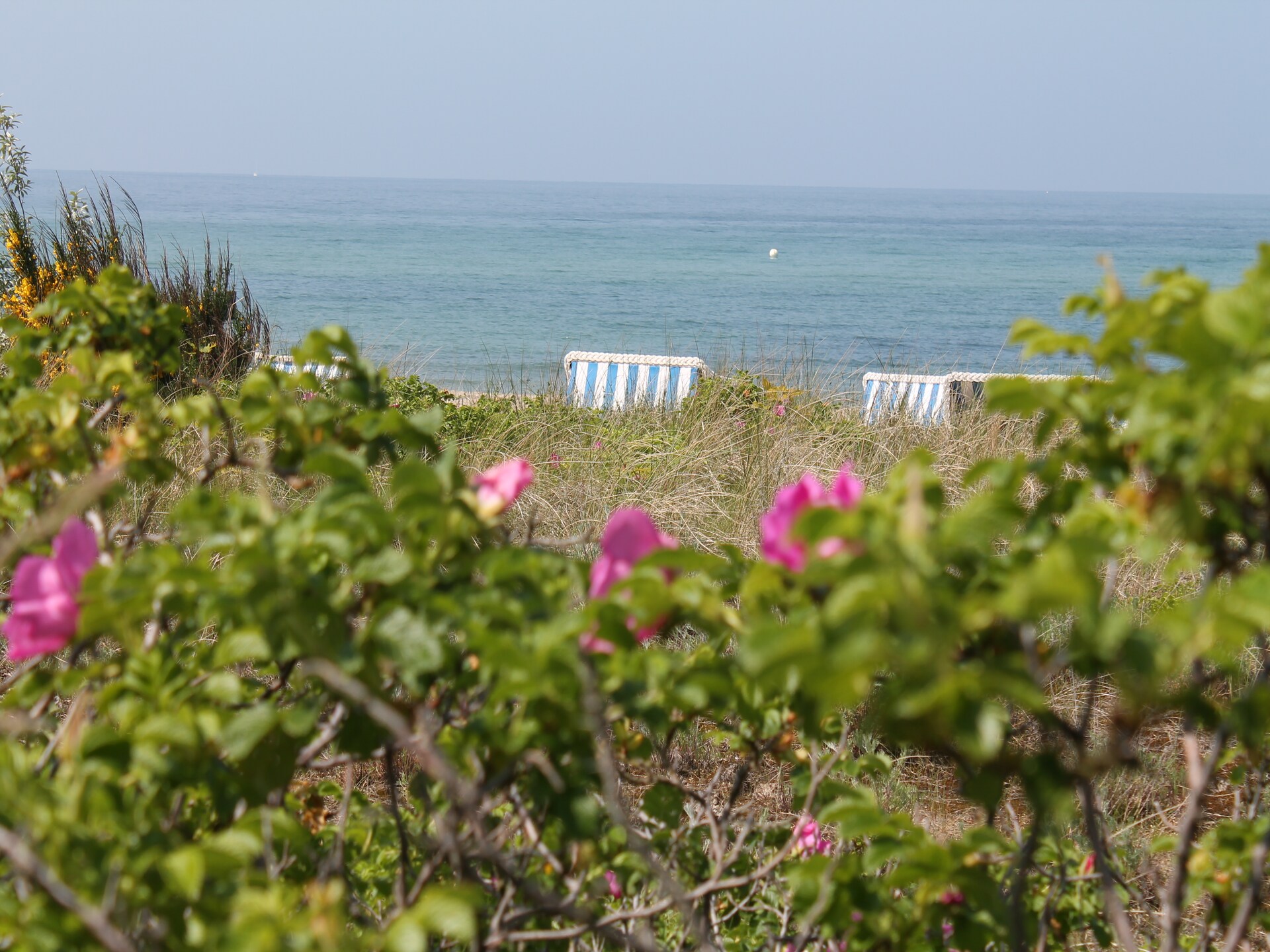 2-persoons bungalow Zum Breitling in Boiensdorf vlakbij het strand - foto 36