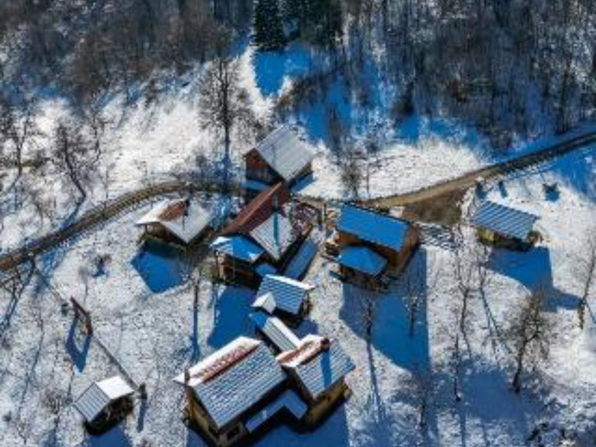 Brezova Poljana Lodge: Sauna, Hot-Tub & 5 Slaapkamers in de Natuur - foto 30
