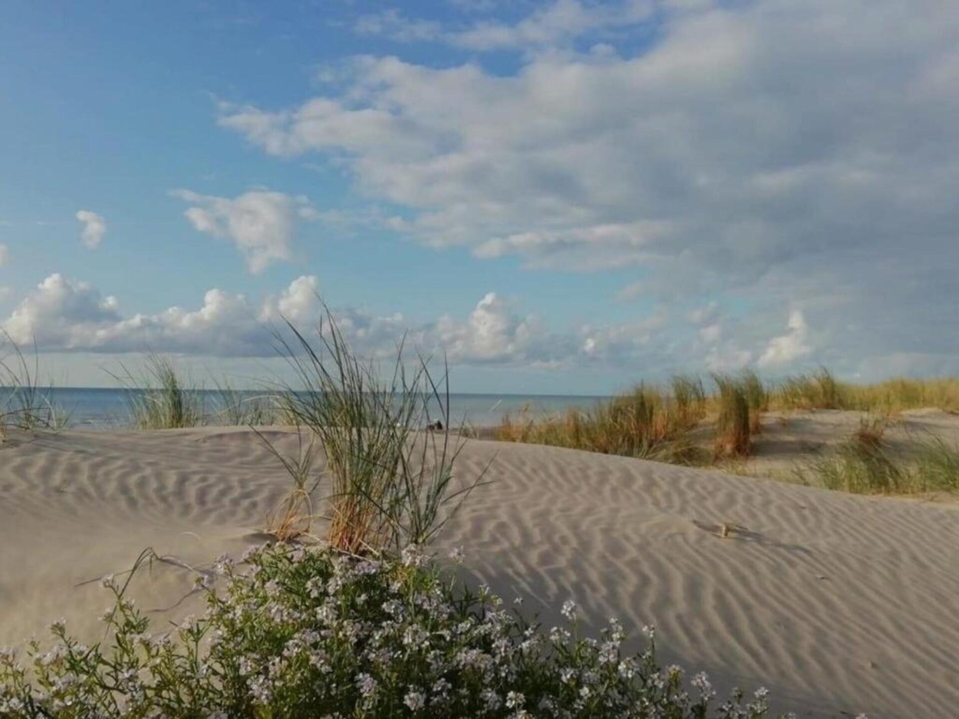 Op 1,0 km van het meer: ruim appartement in Quend-Plage - foto 22