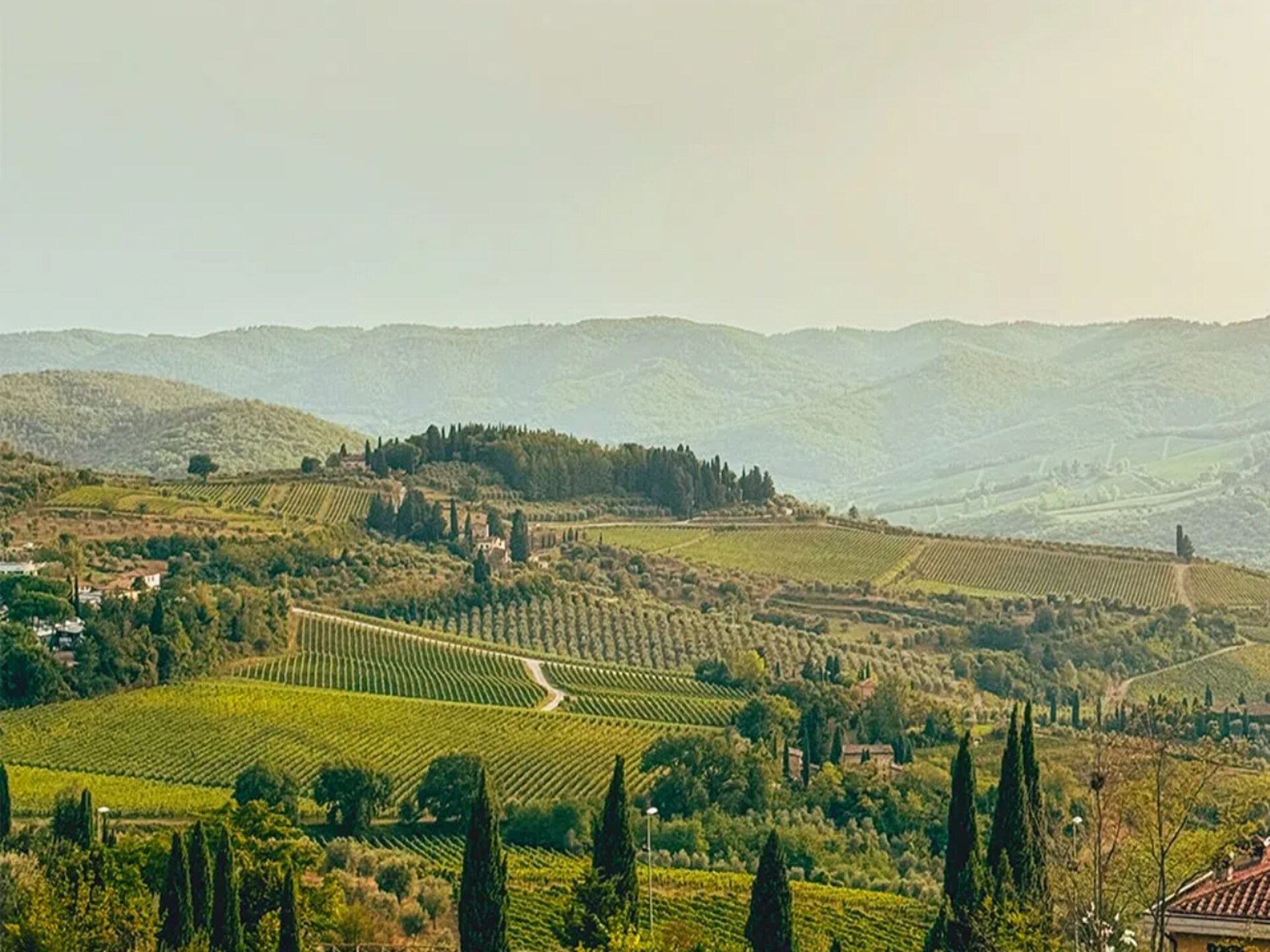 Authentiek Toscaans appartement met zwembad en tuin nabij Arezzo - foto 24