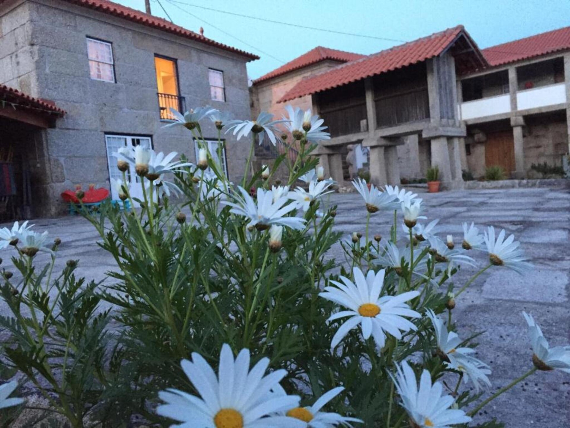 Romantische suite in verbouwd landhuis op Portugees platteland - foto 62