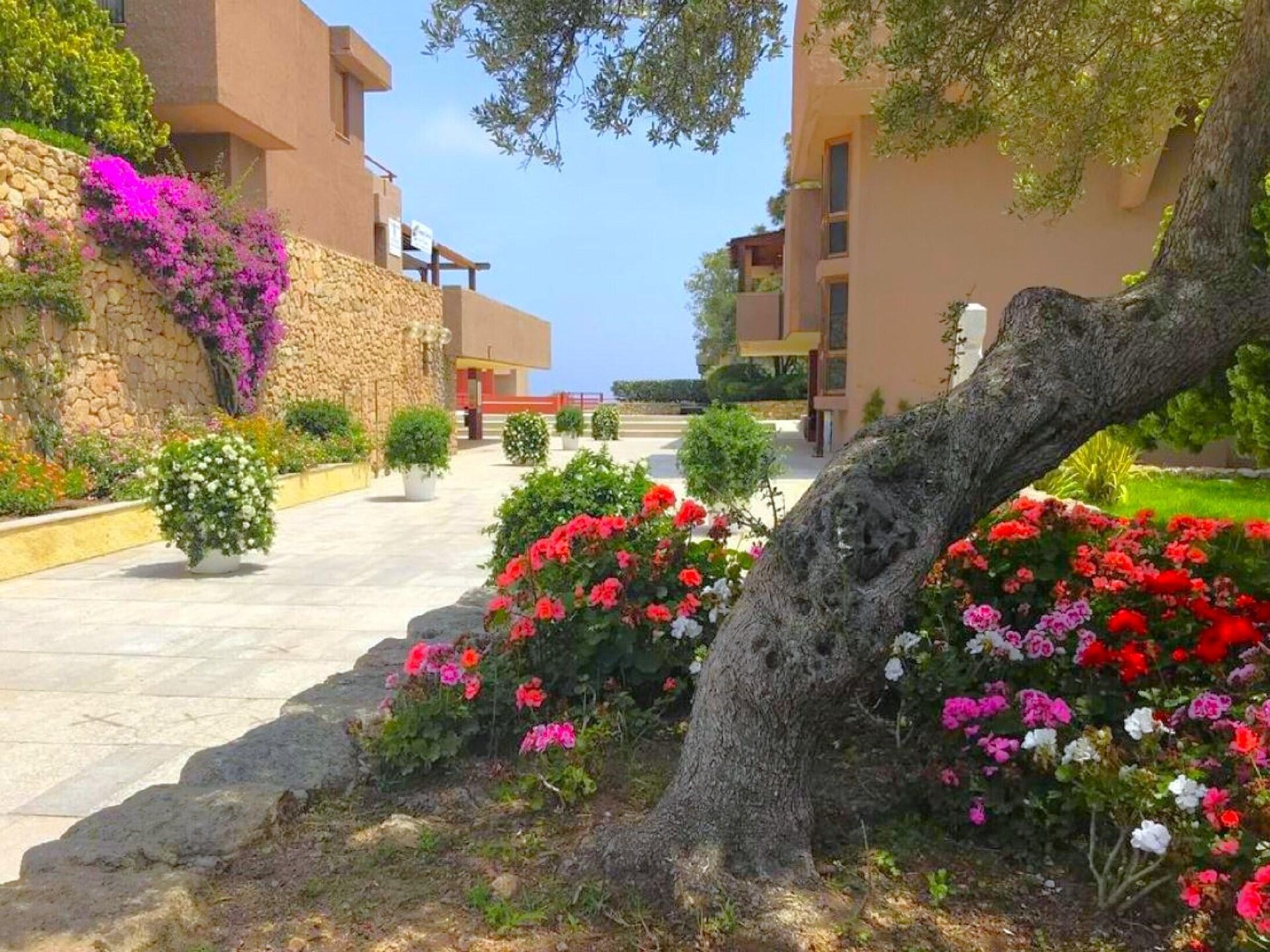 Licht appartement met balkon nabij de stranden van Olbia - foto 20
