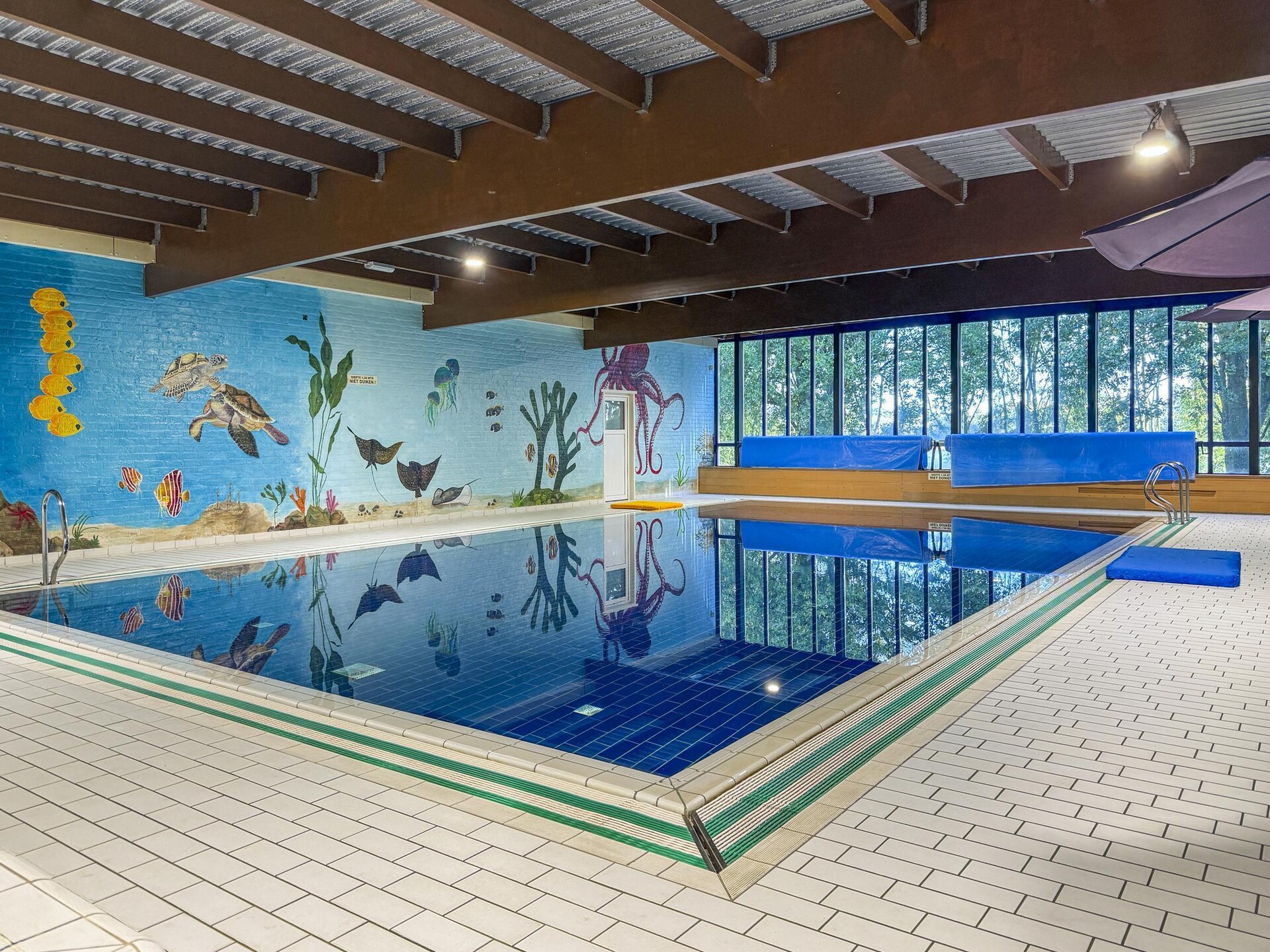Vrijstaande 7-persoons sauna bungalow in bosrijk Ewijk, nabij Nijmegen - foto 14