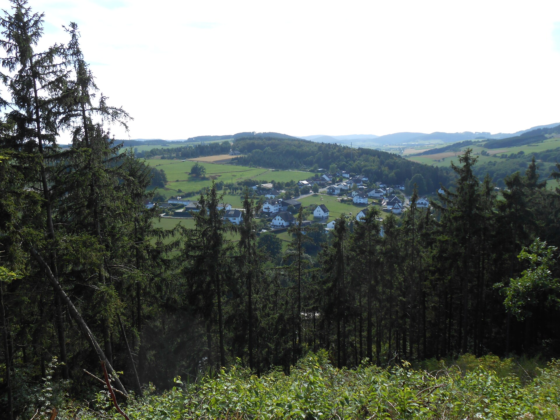Knus bosappartement voor 2 in Medebach-Dreislar, direct aan de wandelroutes - foto 15