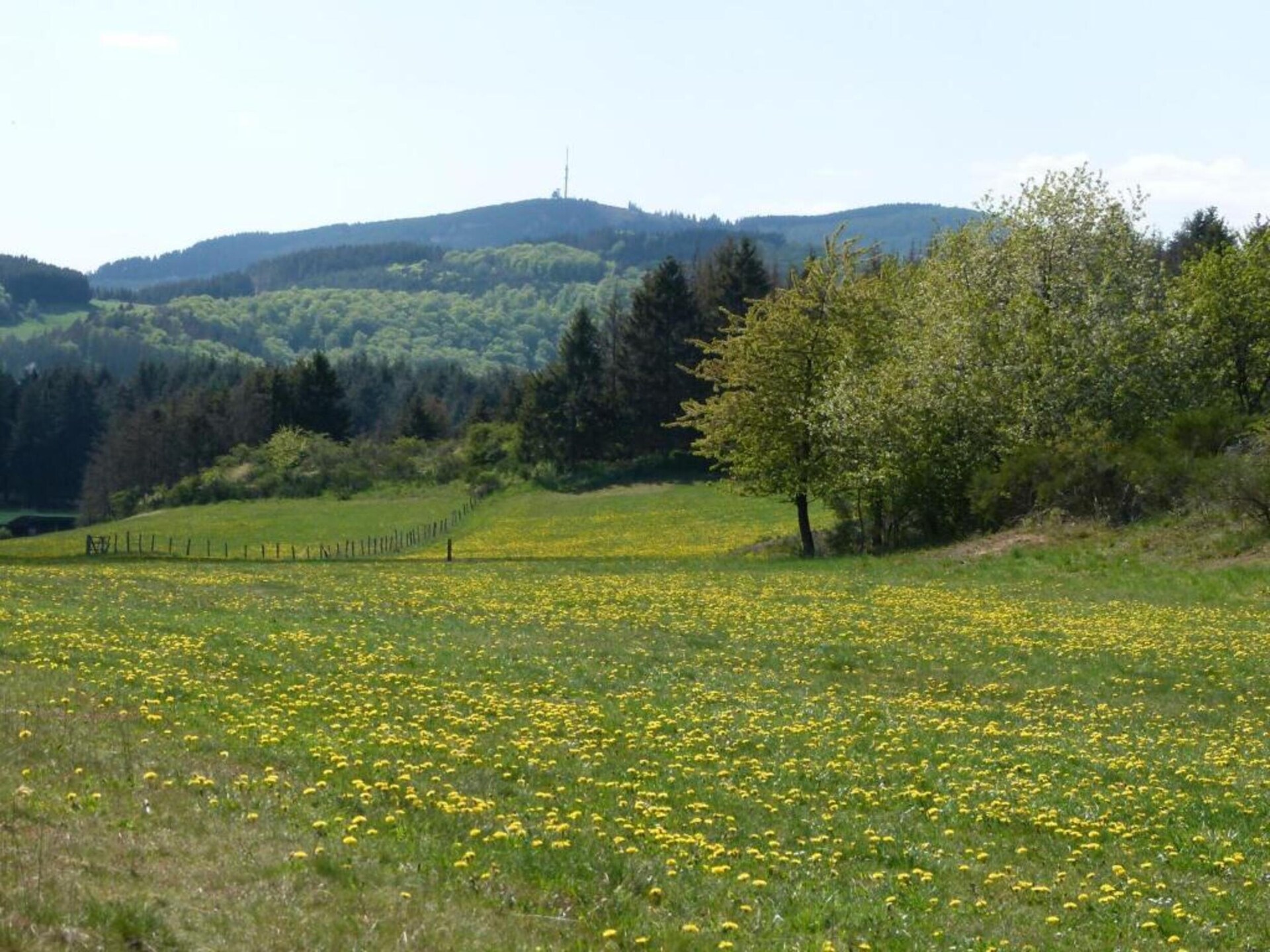 Knus bosappartement voor 2 in Medebach-Dreislar, direct aan de wandelroutes - foto 21