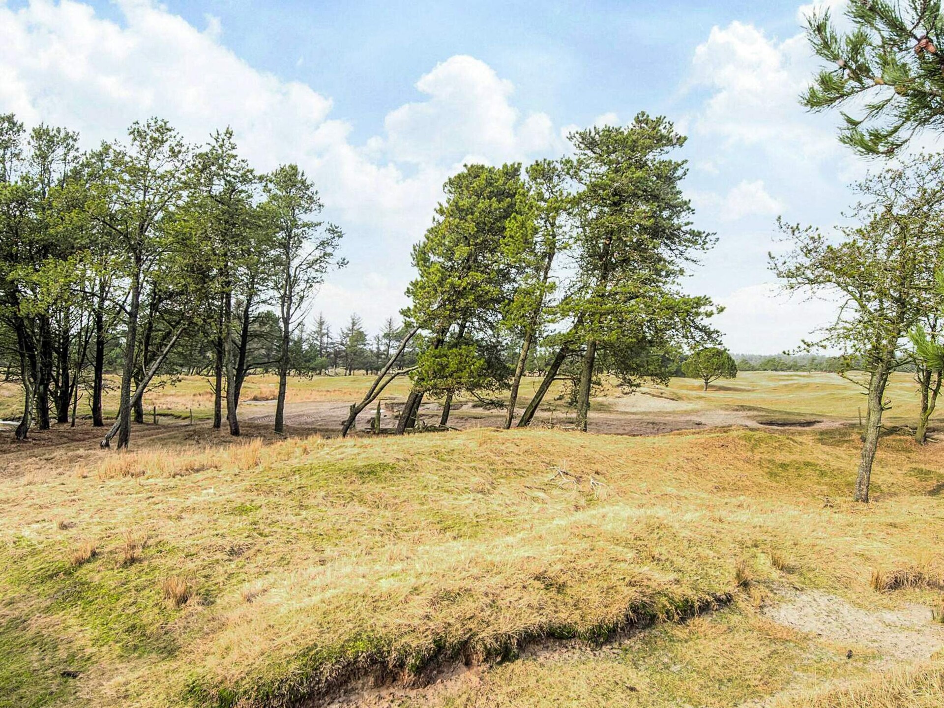 Uniek jachthuis in de natuur bij Fjerritslev, vlakbij strand - foto 2