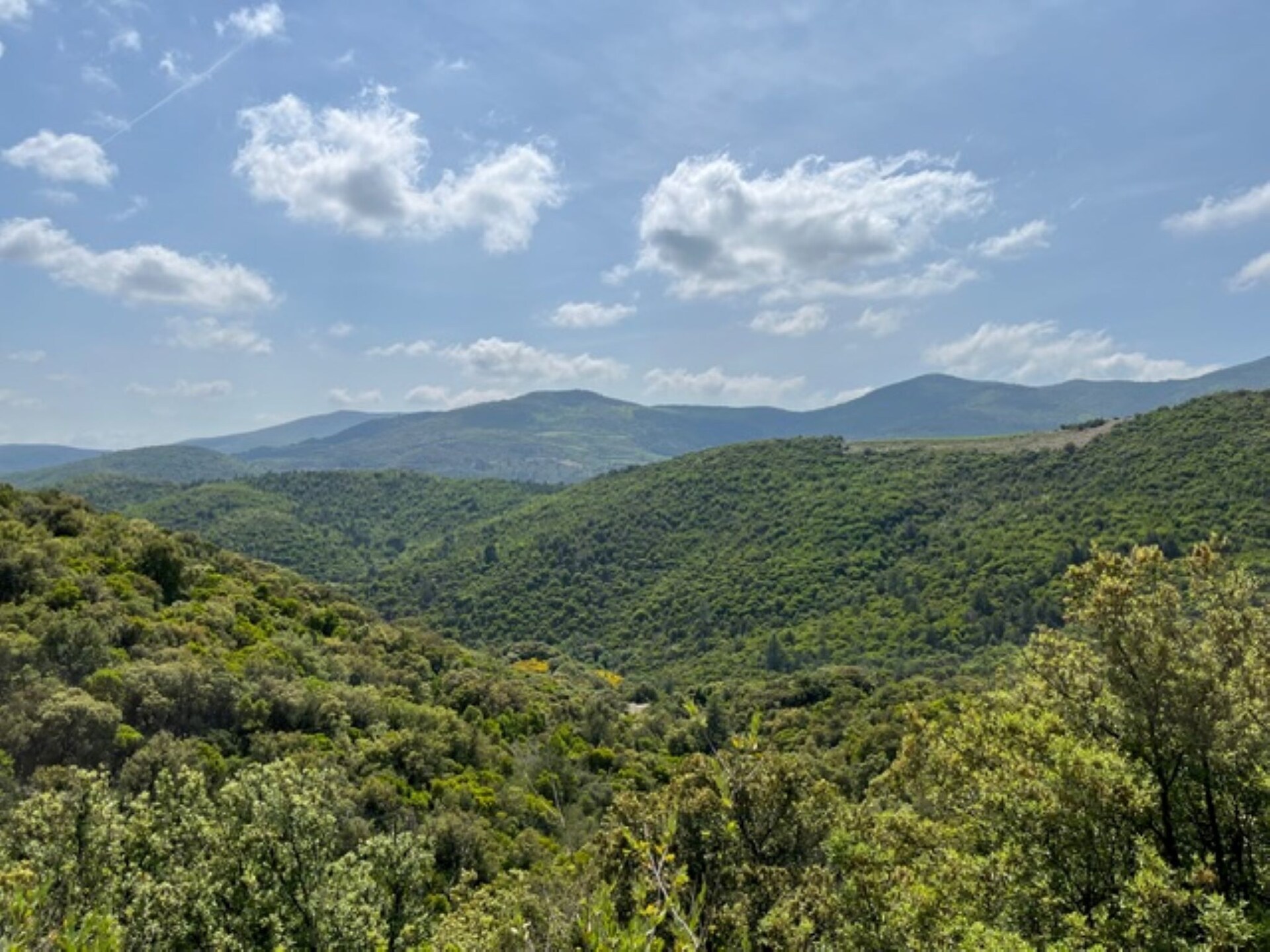 La Rocaille: Ruim vakantiehuis met privézwembad en 3 suites in Roquebrun - foto 29