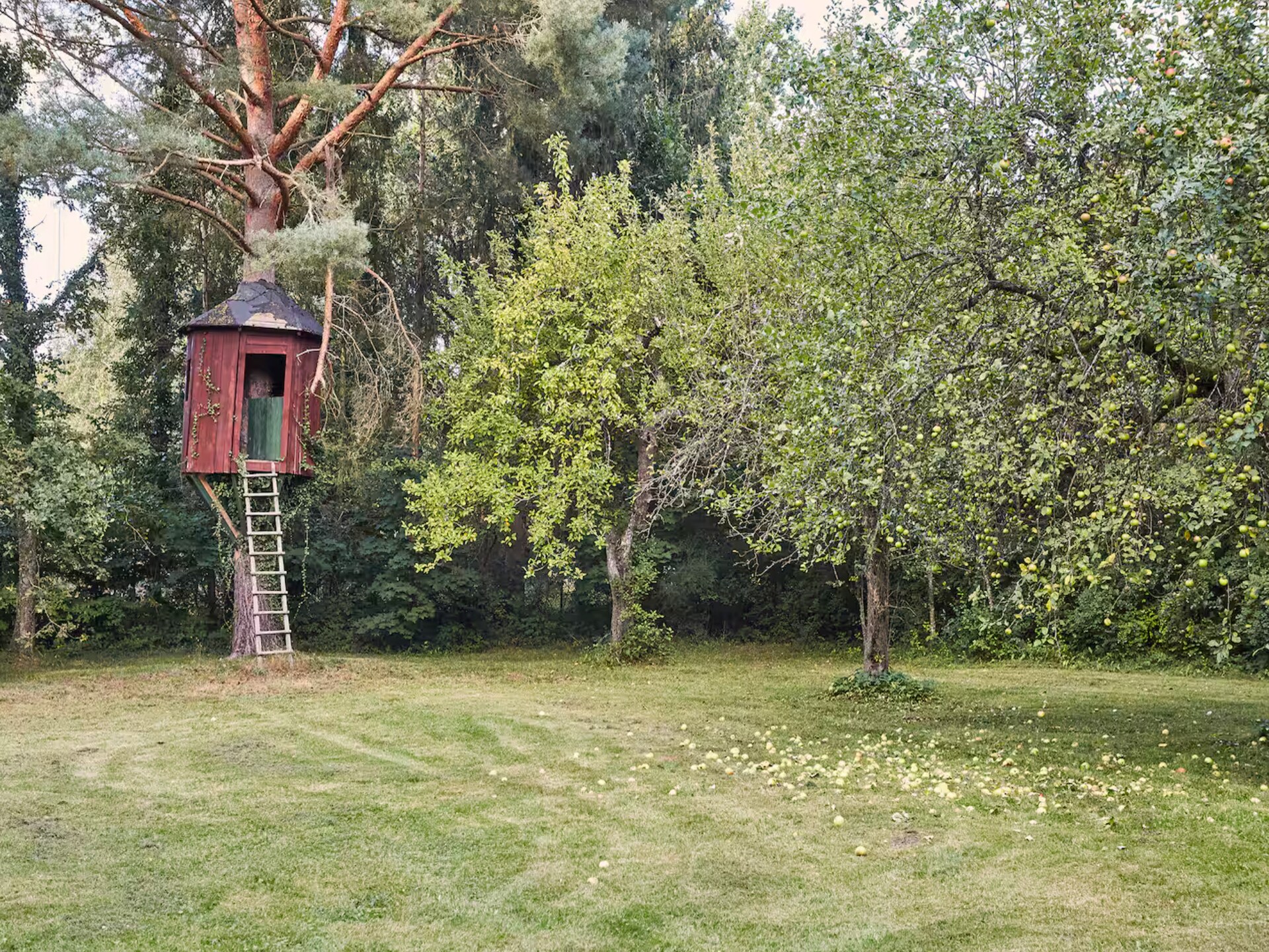 Ruim vakantiehuis in bosrijke omgeving met privé wellness en zwembad - foto 39