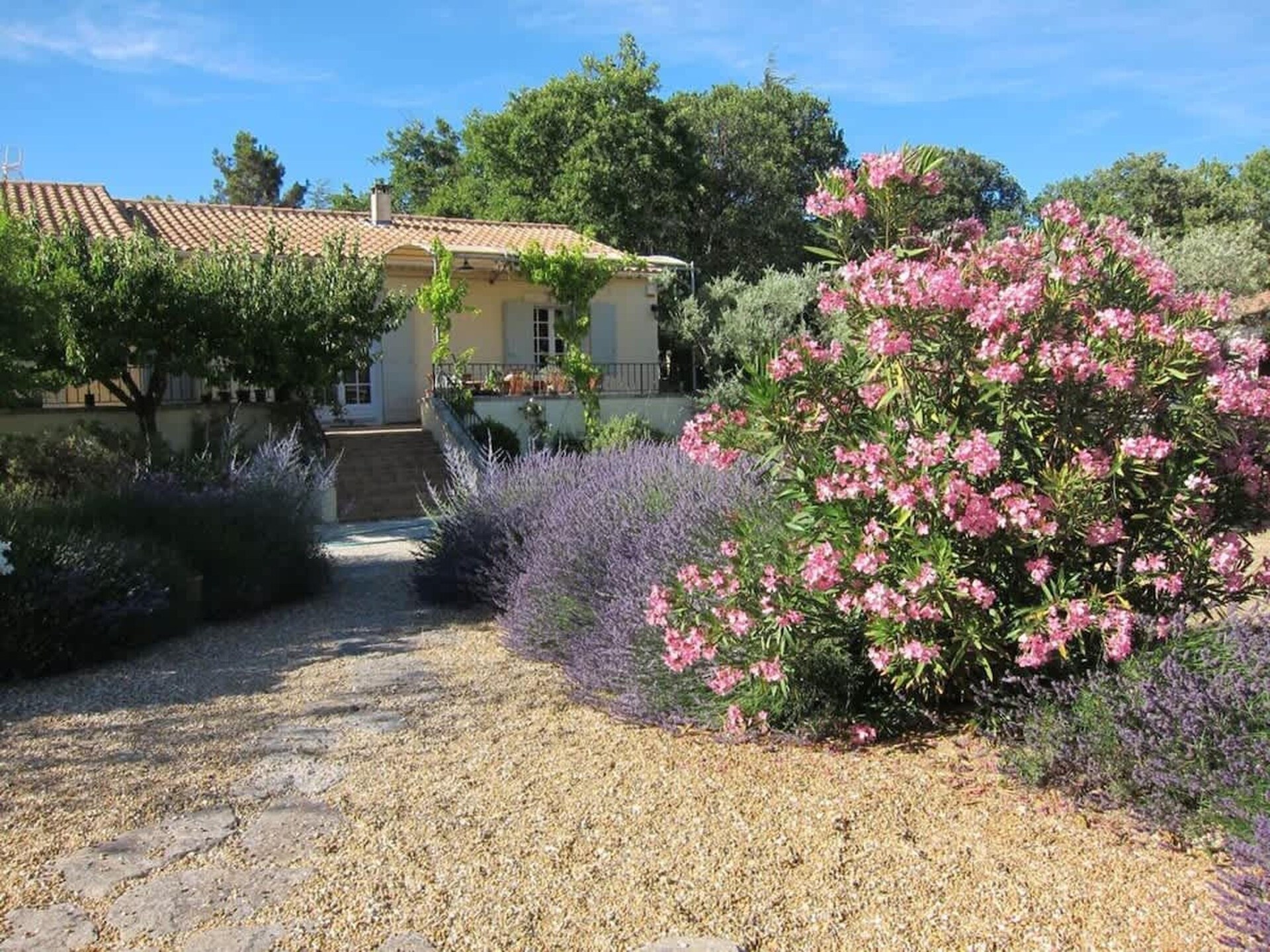 Knabbelende studio aan de voet van de Luberon met zwembad en privétuin - foto 22