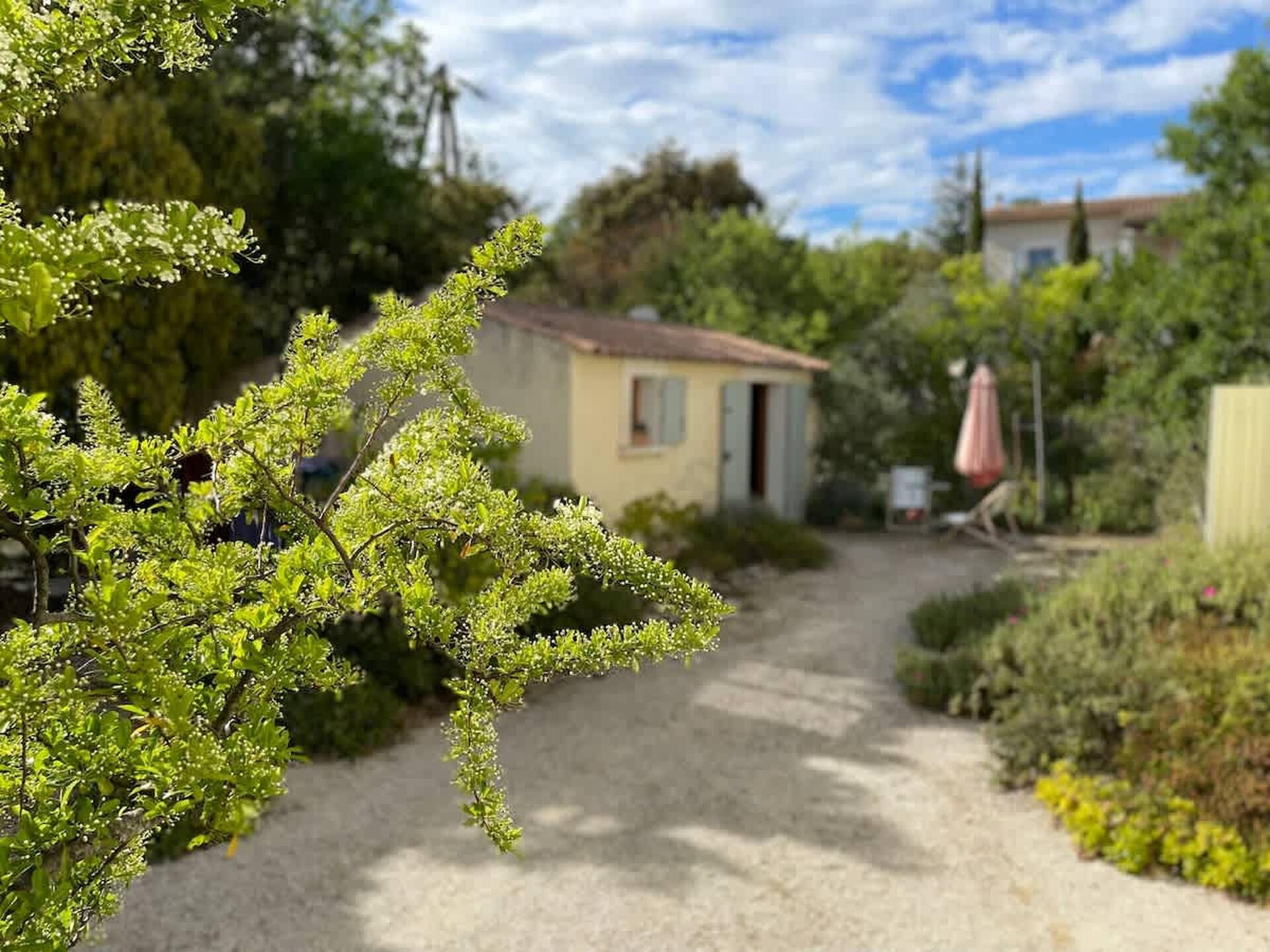 Knabbelende studio aan de voet van de Luberon met zwembad en privétuin - foto 23
