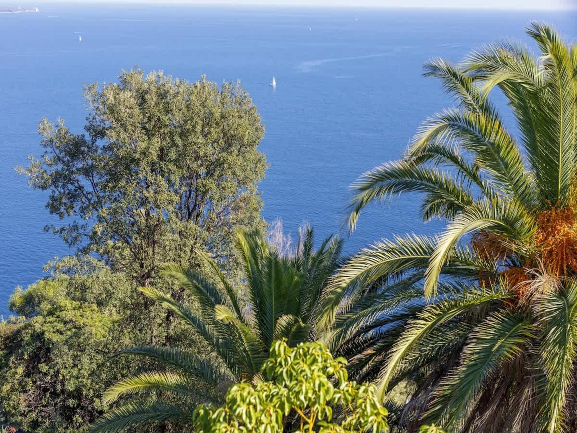 Ruime villa met zeezicht, privézwembad en bosrijke ligging in Théoule-sur-Mer - foto 43