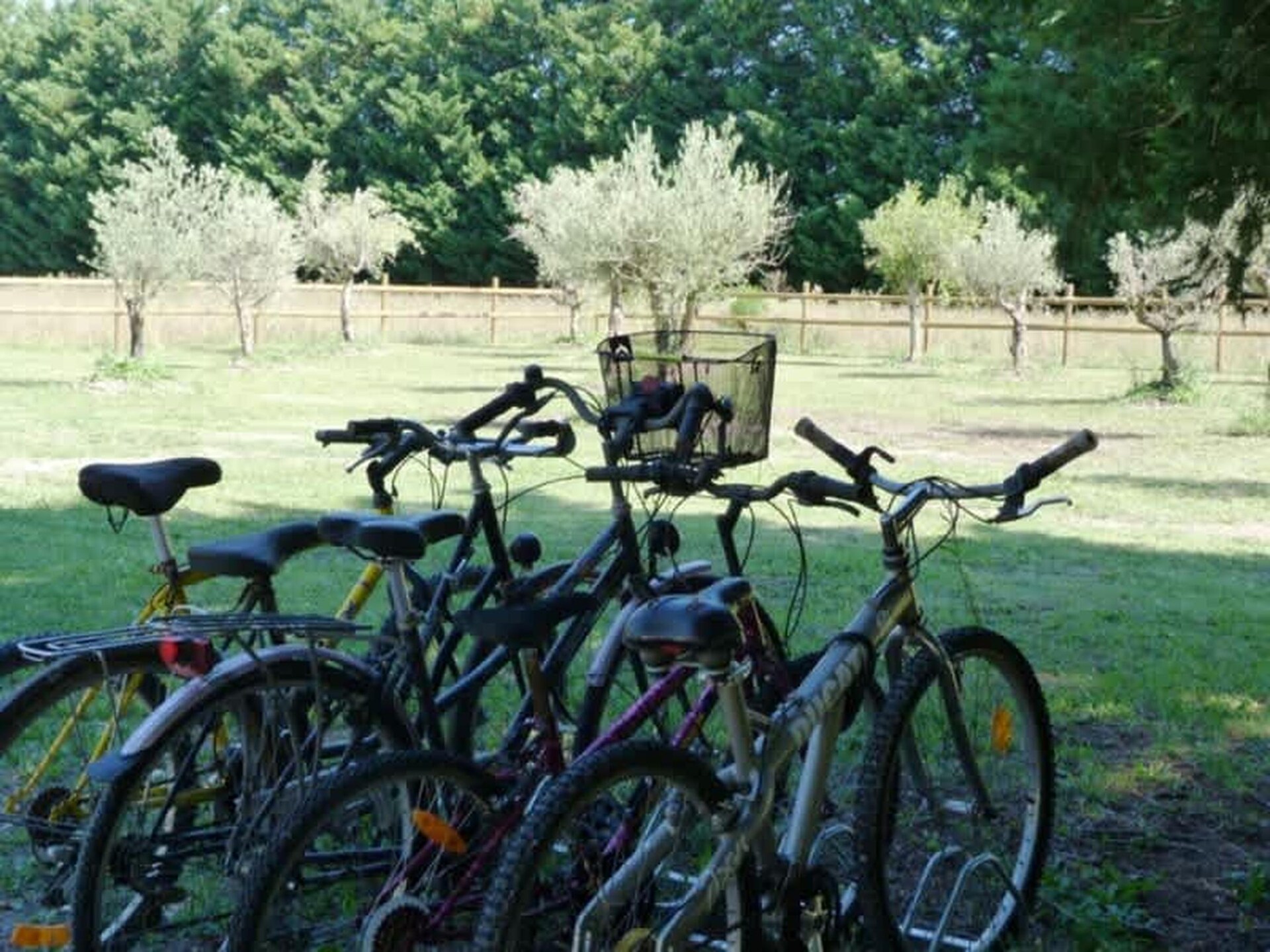 Provençaals landgoed met zwembad en paarden nabij L'Isle-sur-la-Sorgue - foto 39