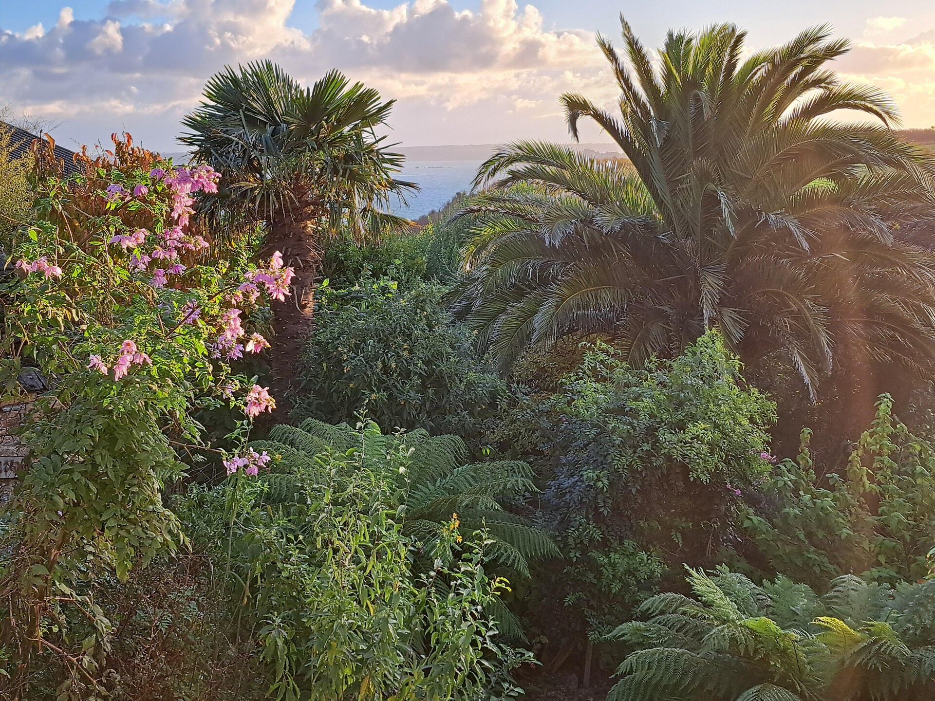 Gerestaureerd granieten huis met exotische tuin en zeezicht nabij strand - foto 14