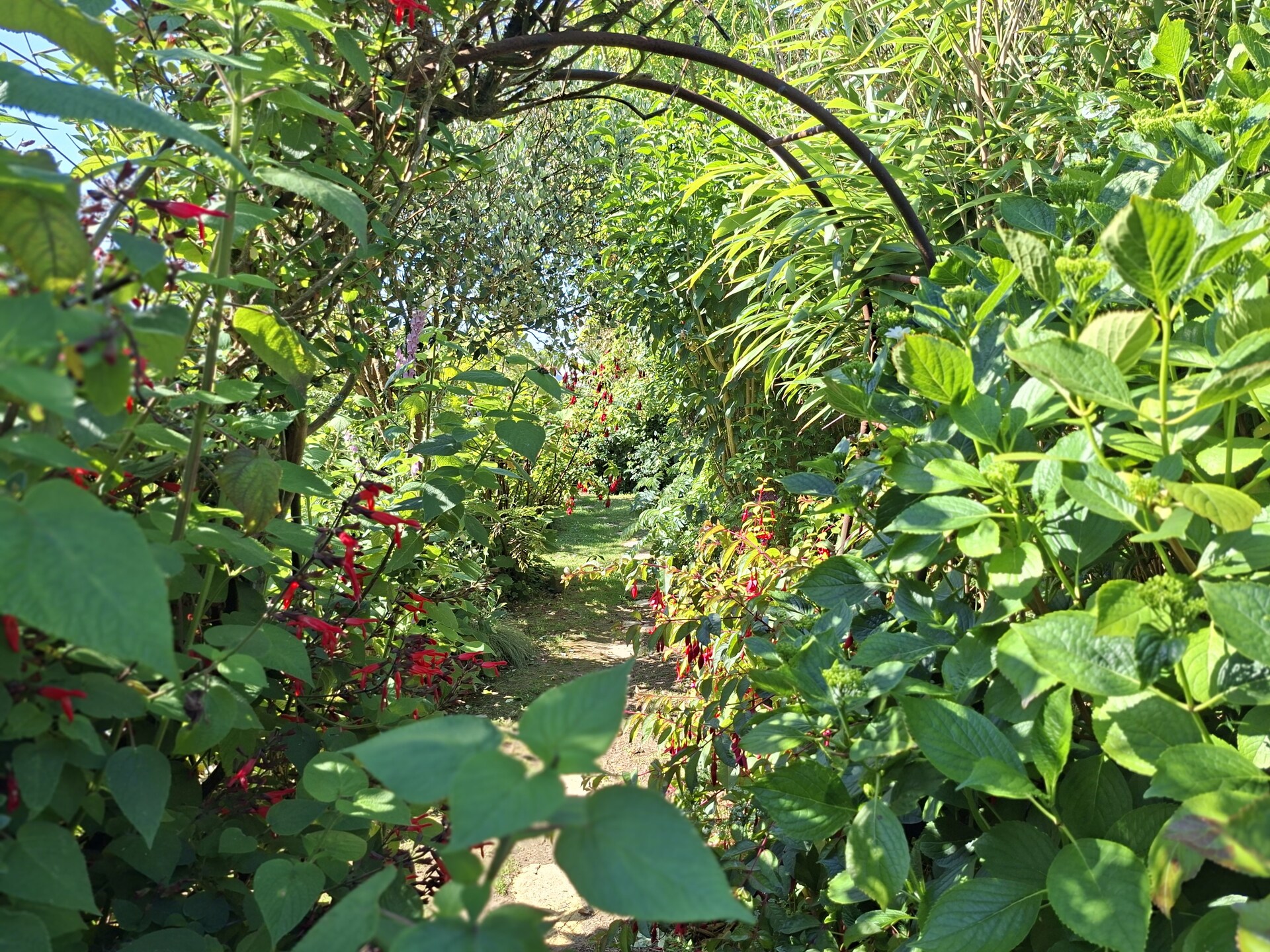 Gerestaureerd granieten huis met exotische tuin en zeezicht nabij strand - foto 22