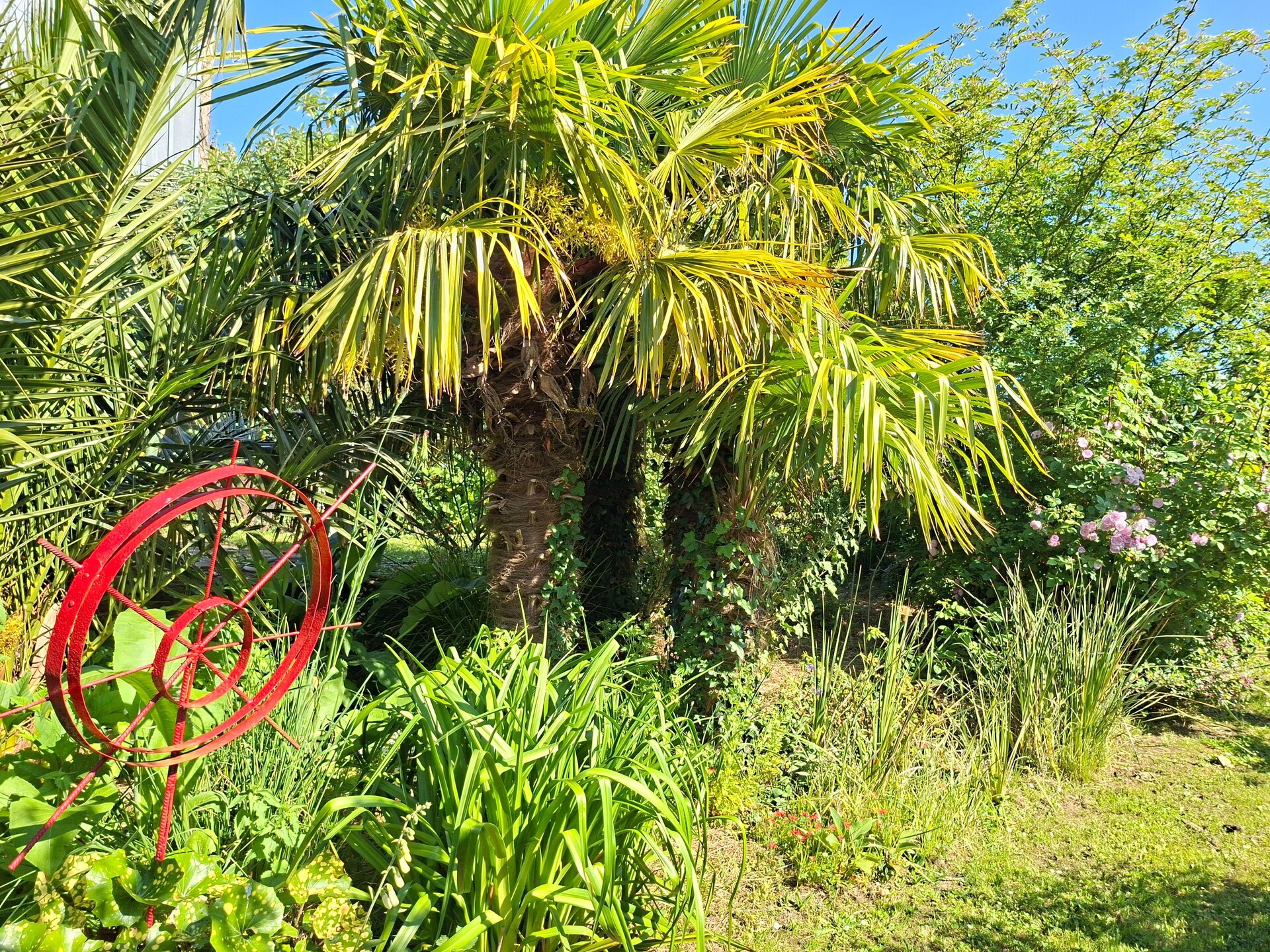 Gerestaureerd granieten huis met exotische tuin en zeezicht nabij strand - foto 24