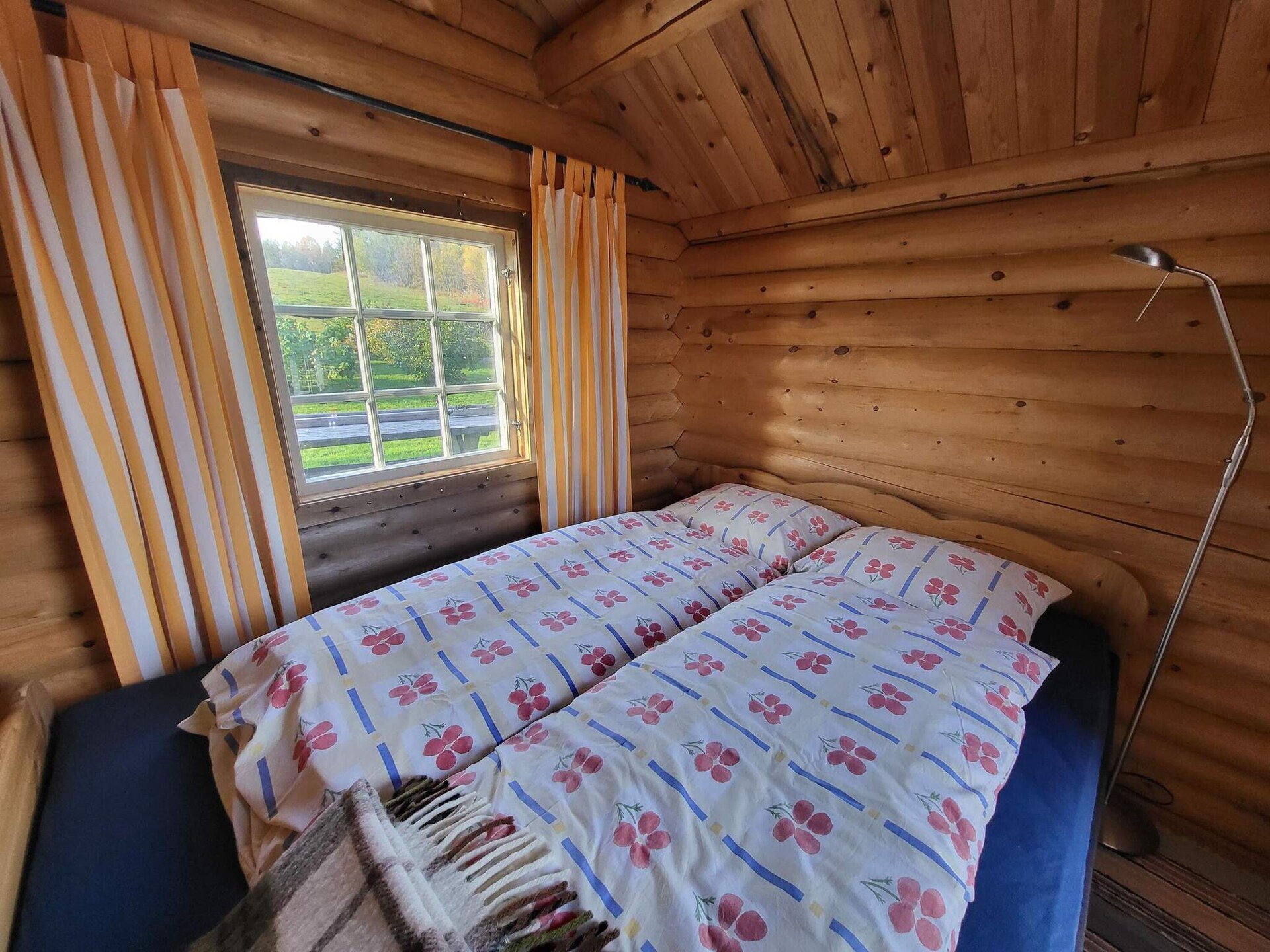 Sfeervol blokhut met hottub en uitzicht op noorderlicht bij Øverbygd - foto 23